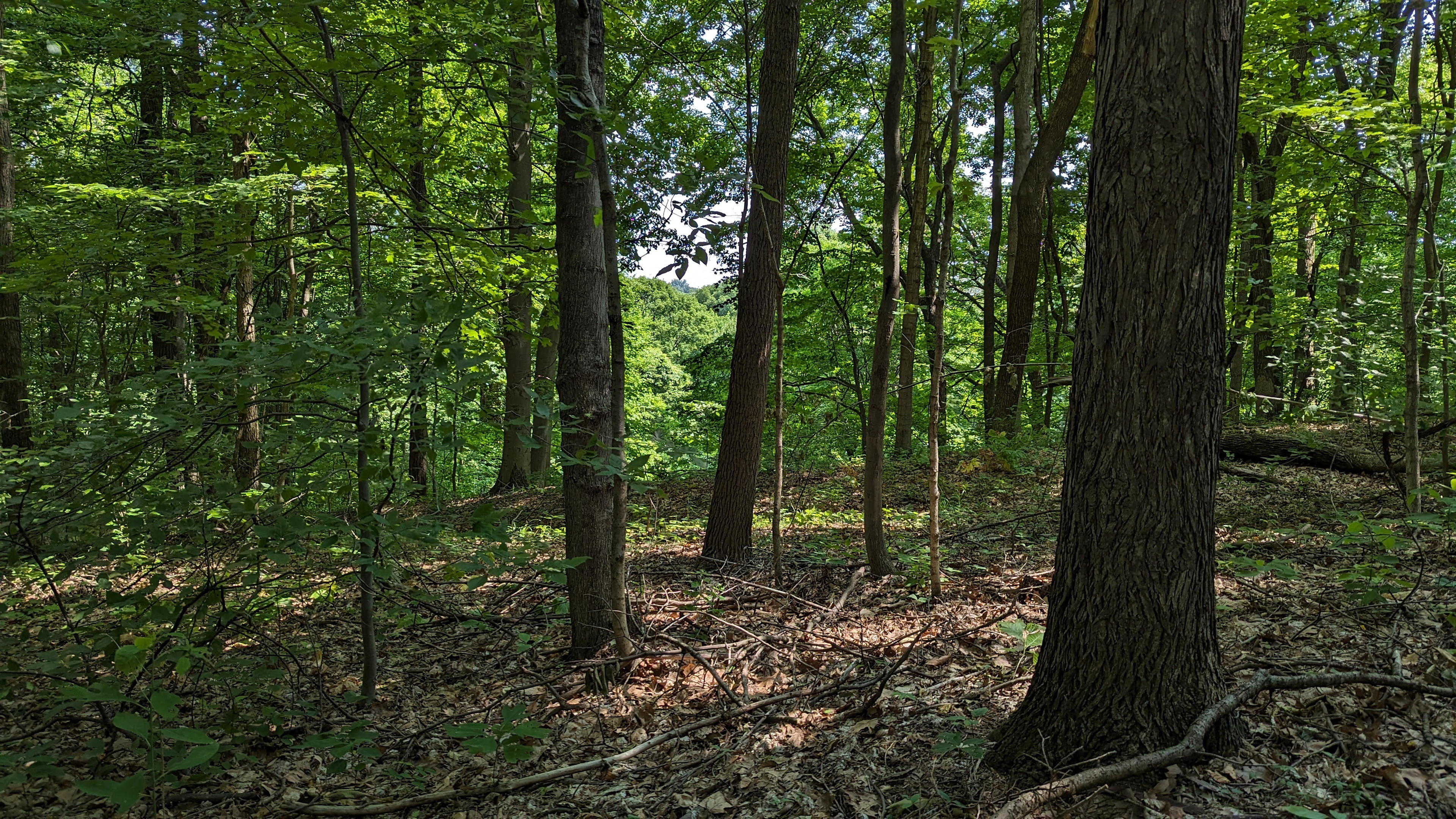 View from camp spot