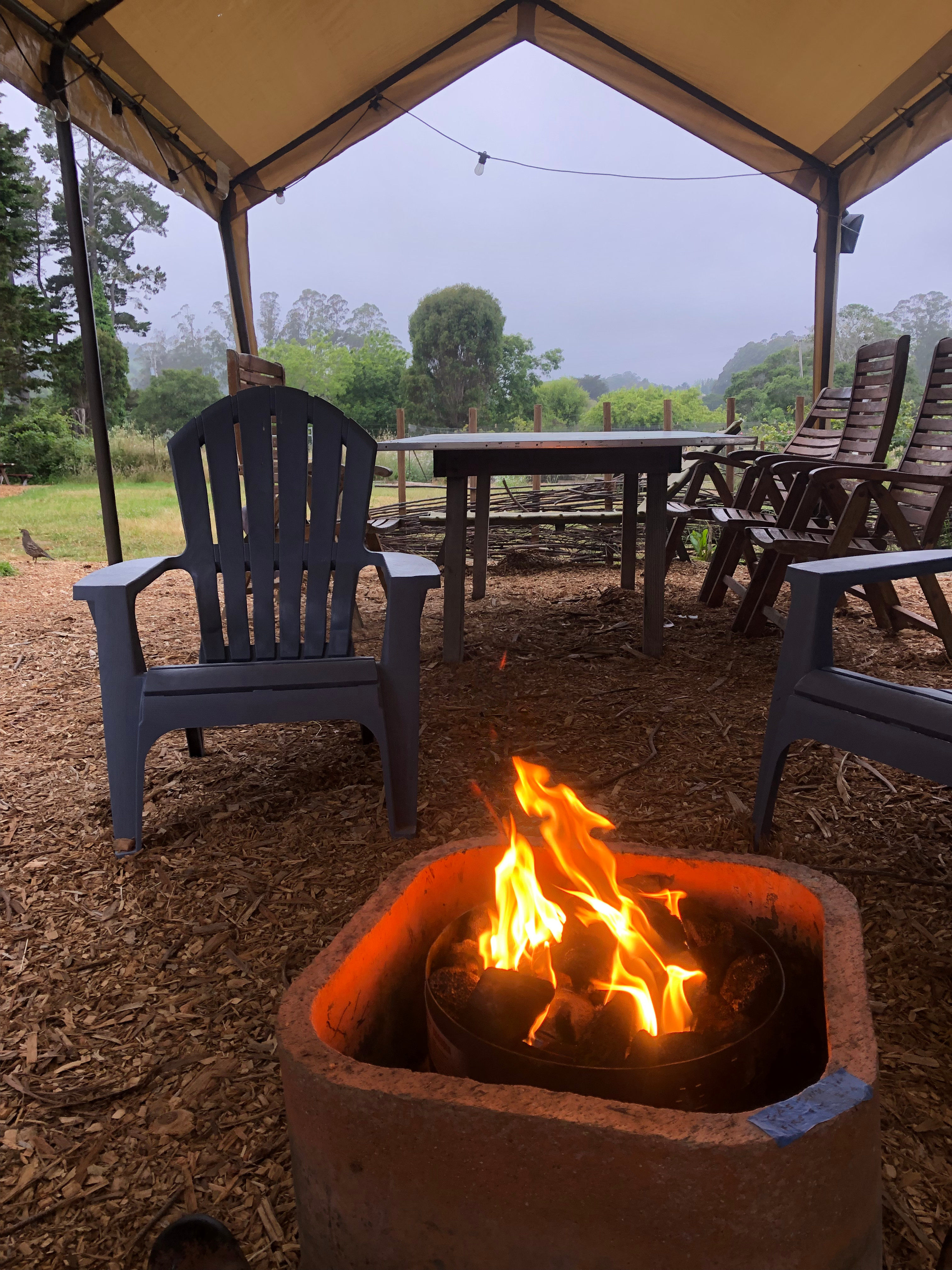 Meadow camping in Bolinas