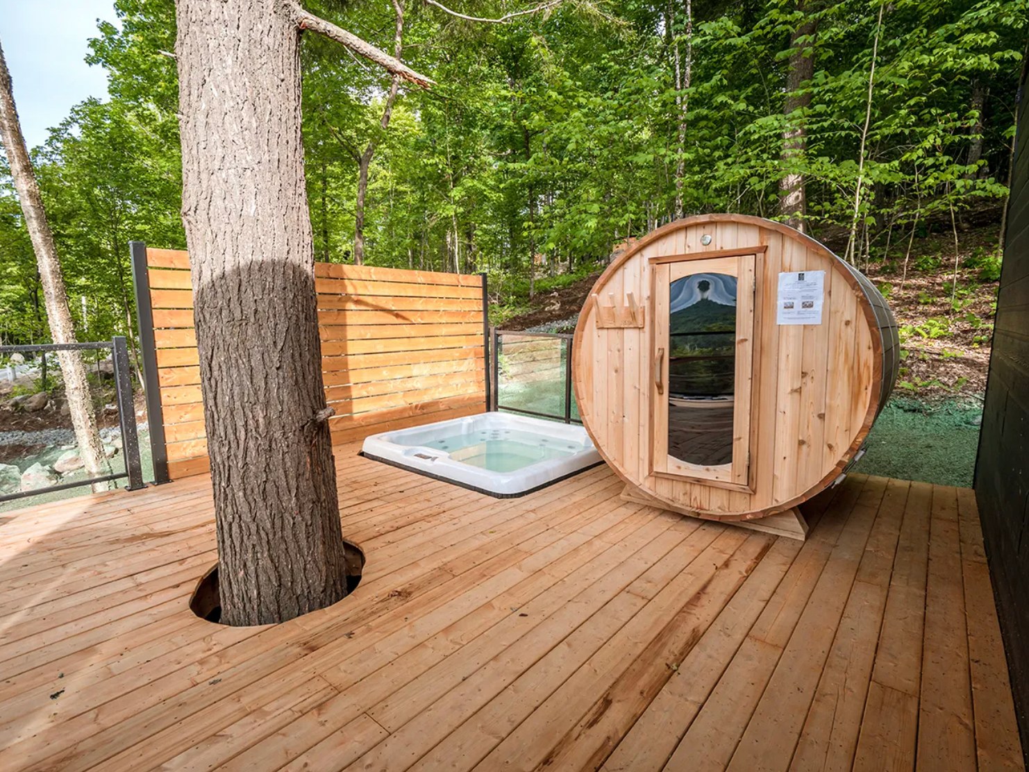 MINI ANTARCTICA BEL AIR TREMBLANT