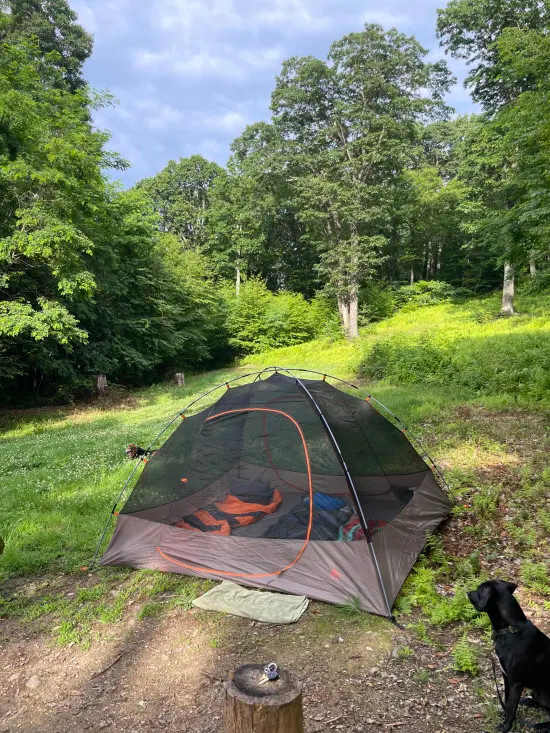 Shenandoah NP Mtn Field