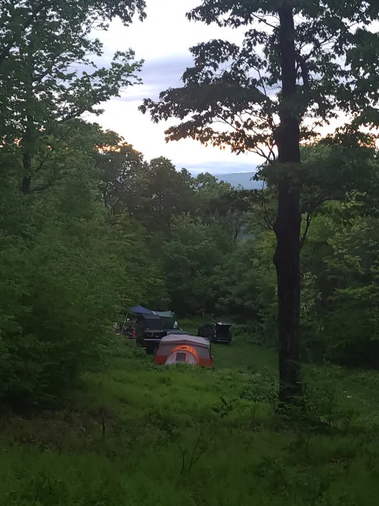 Shenandoah NP Mtn Field