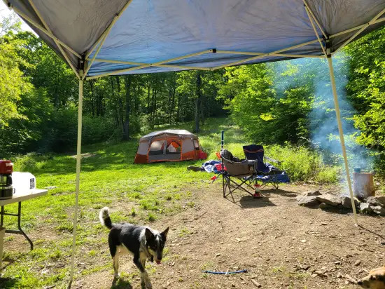 Shenandoah NP Mtn Field