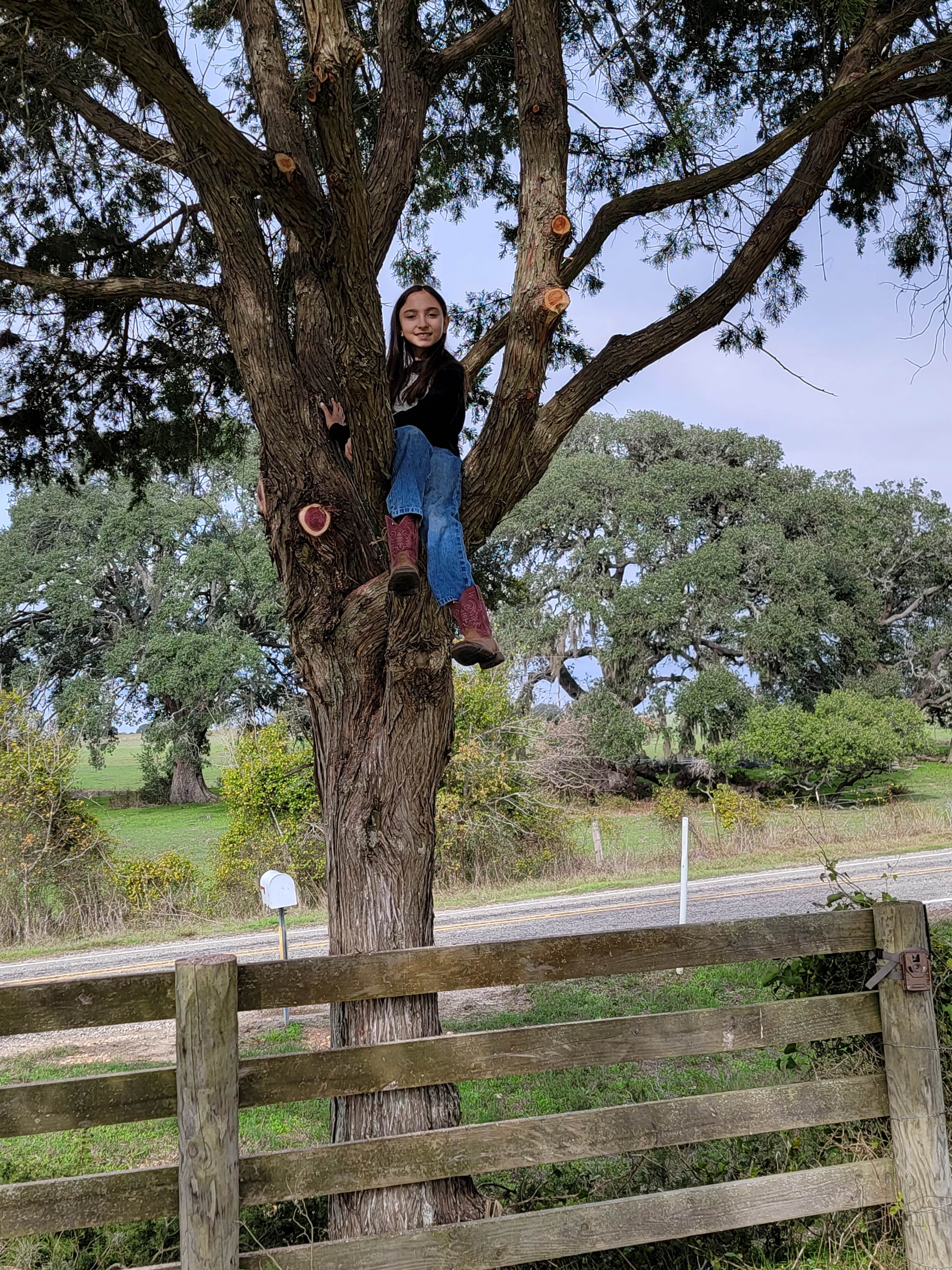 New Bielau Ranch