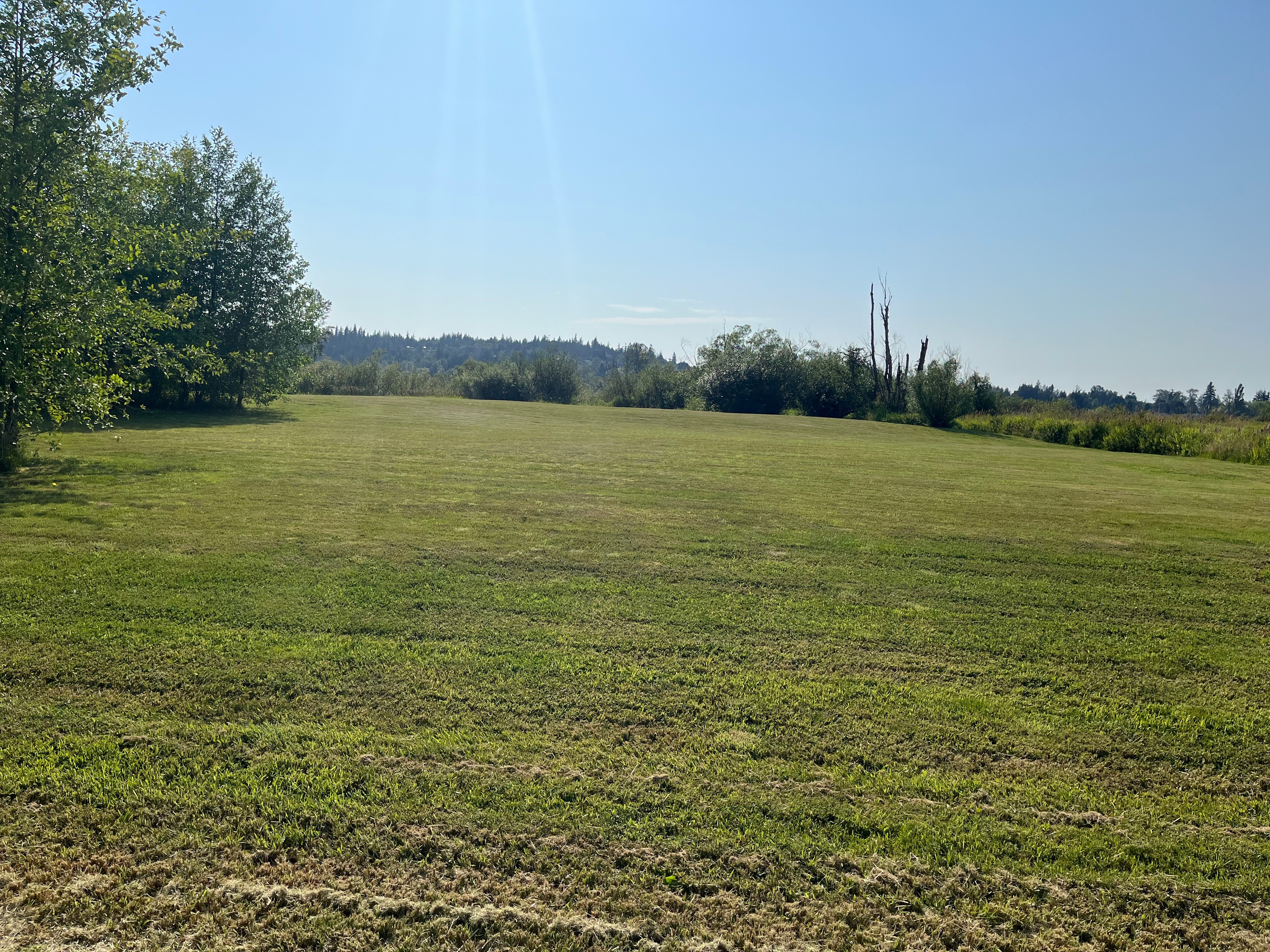 Beaver Meadow