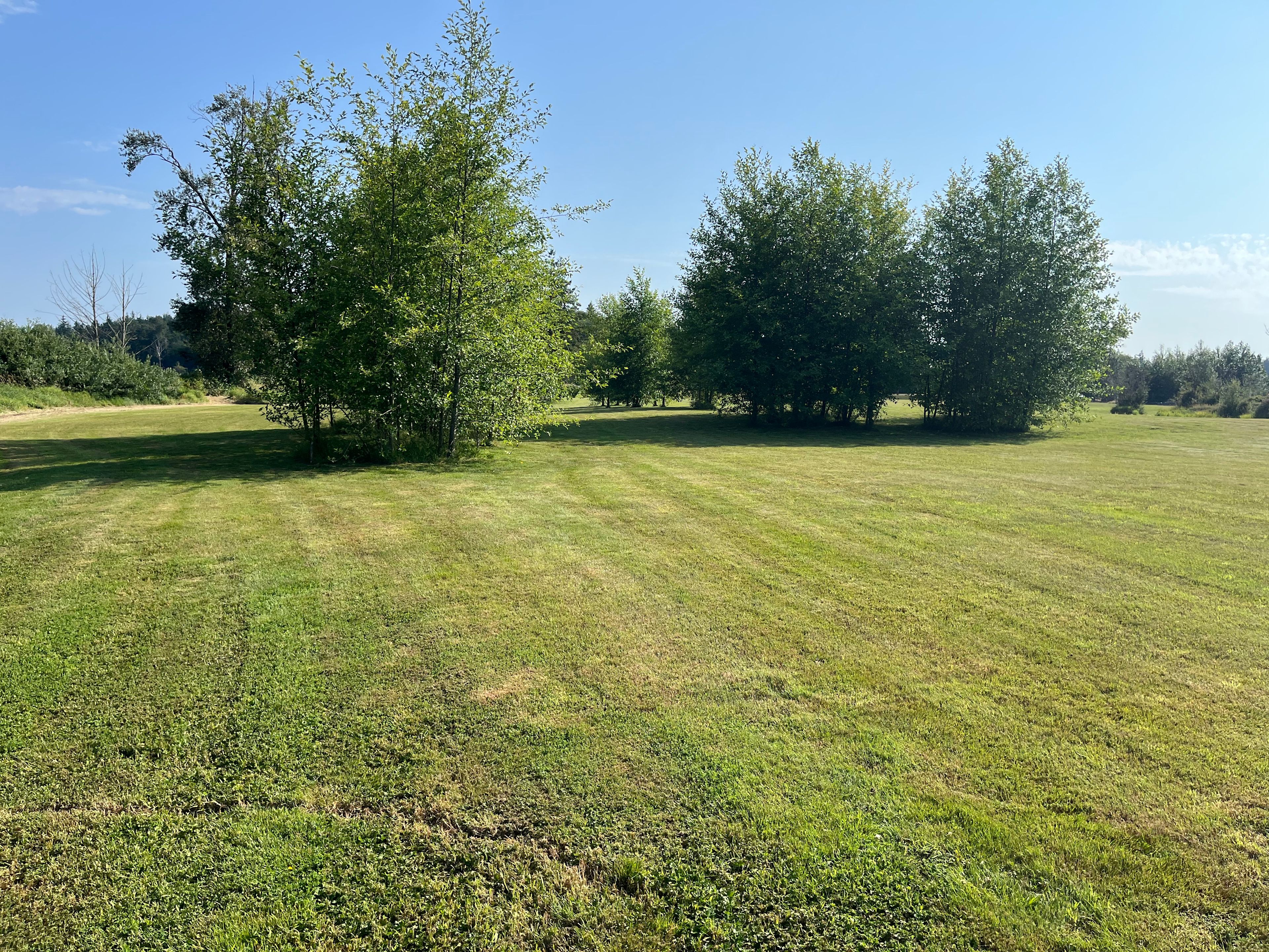 Beaver Meadow