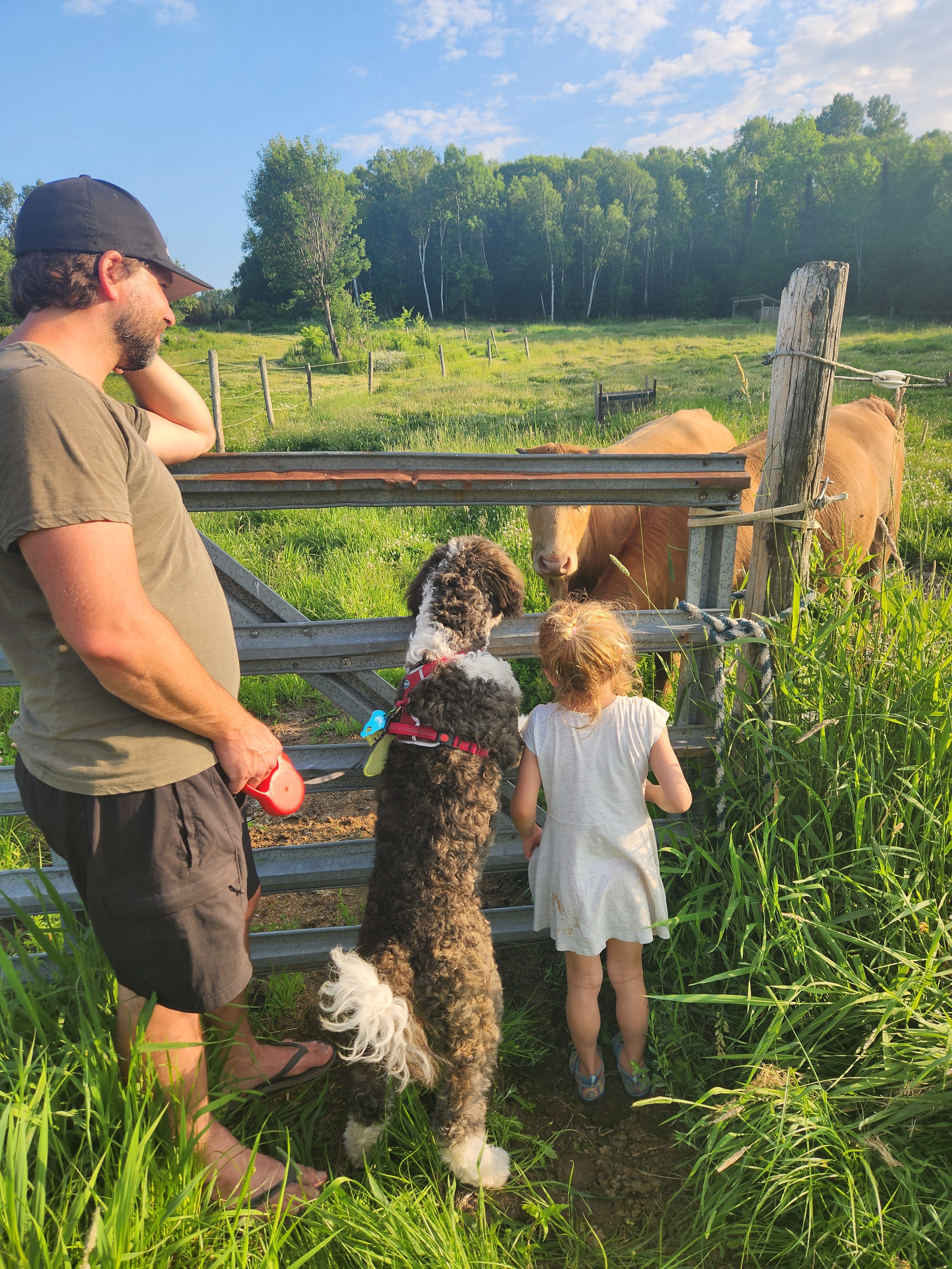 Stone Oaks Farm