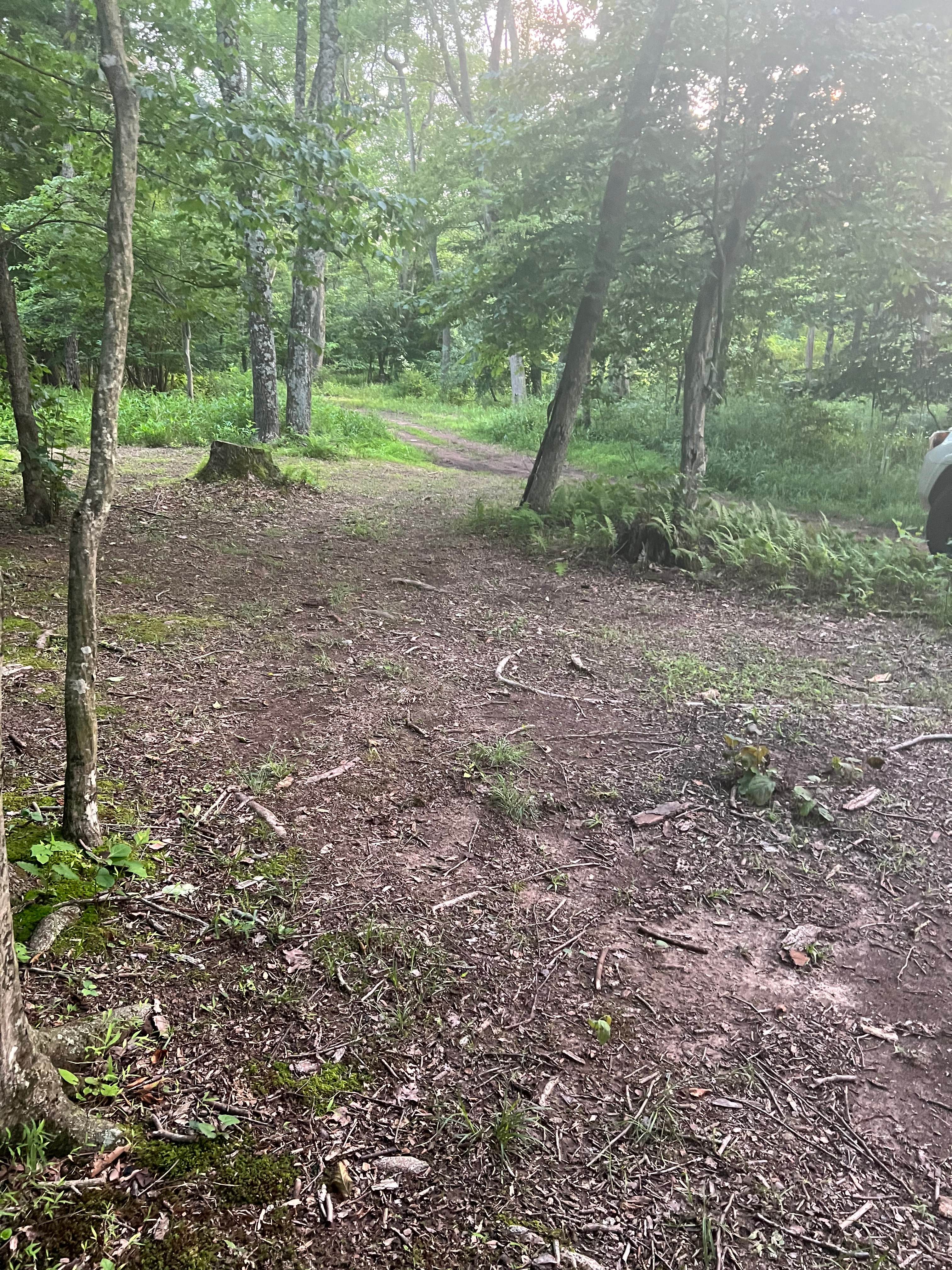 Free Spirit Campground