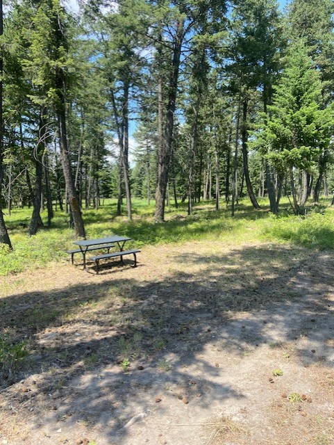 Large tent sight with picnic table. Access to hose. Can fit 2-3 tents.