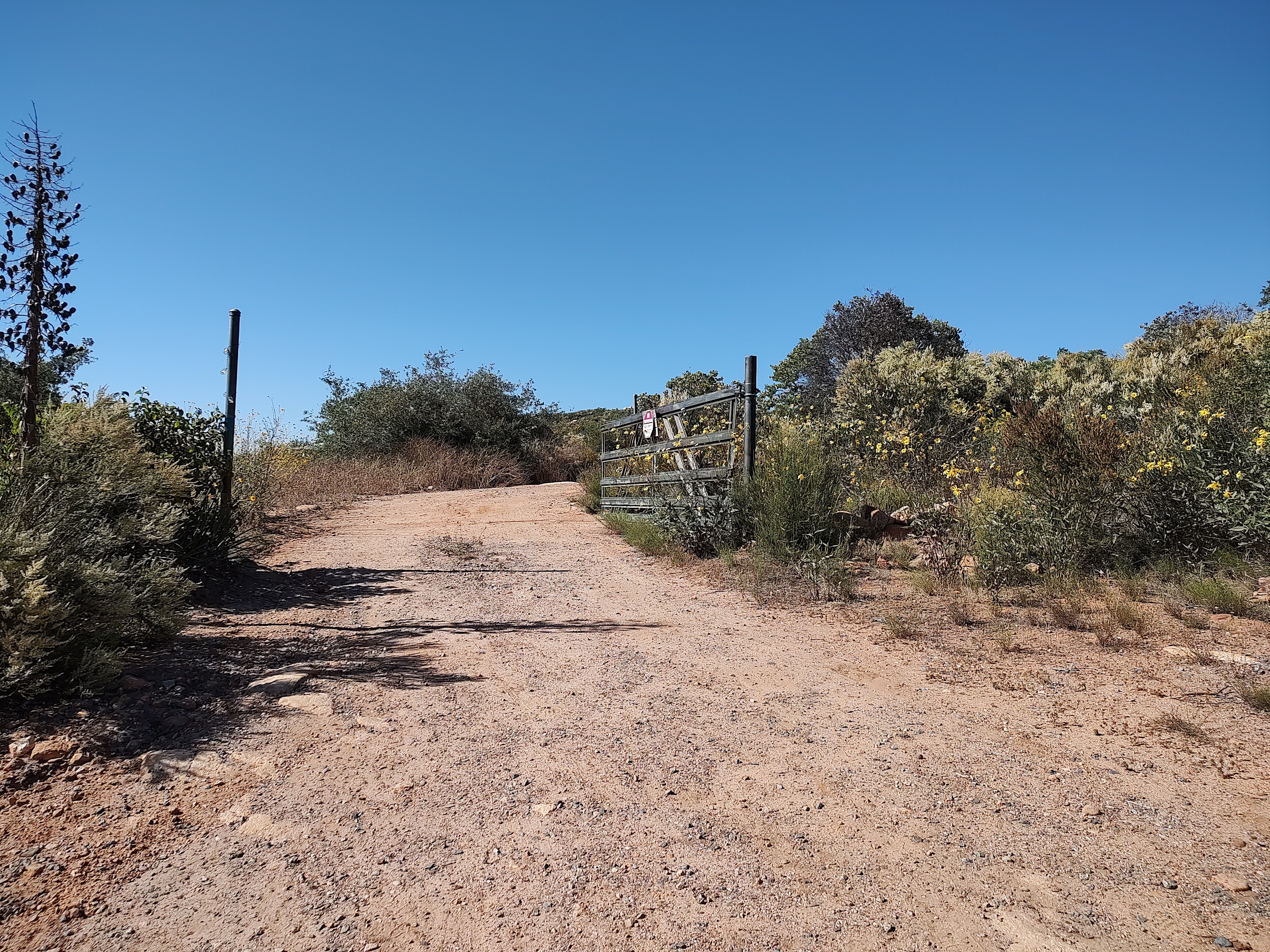 The entrance to your relaxing rustic glamping getaway.  
The wildflowers are in full bloom.  Wild Daisy is on the right.  
