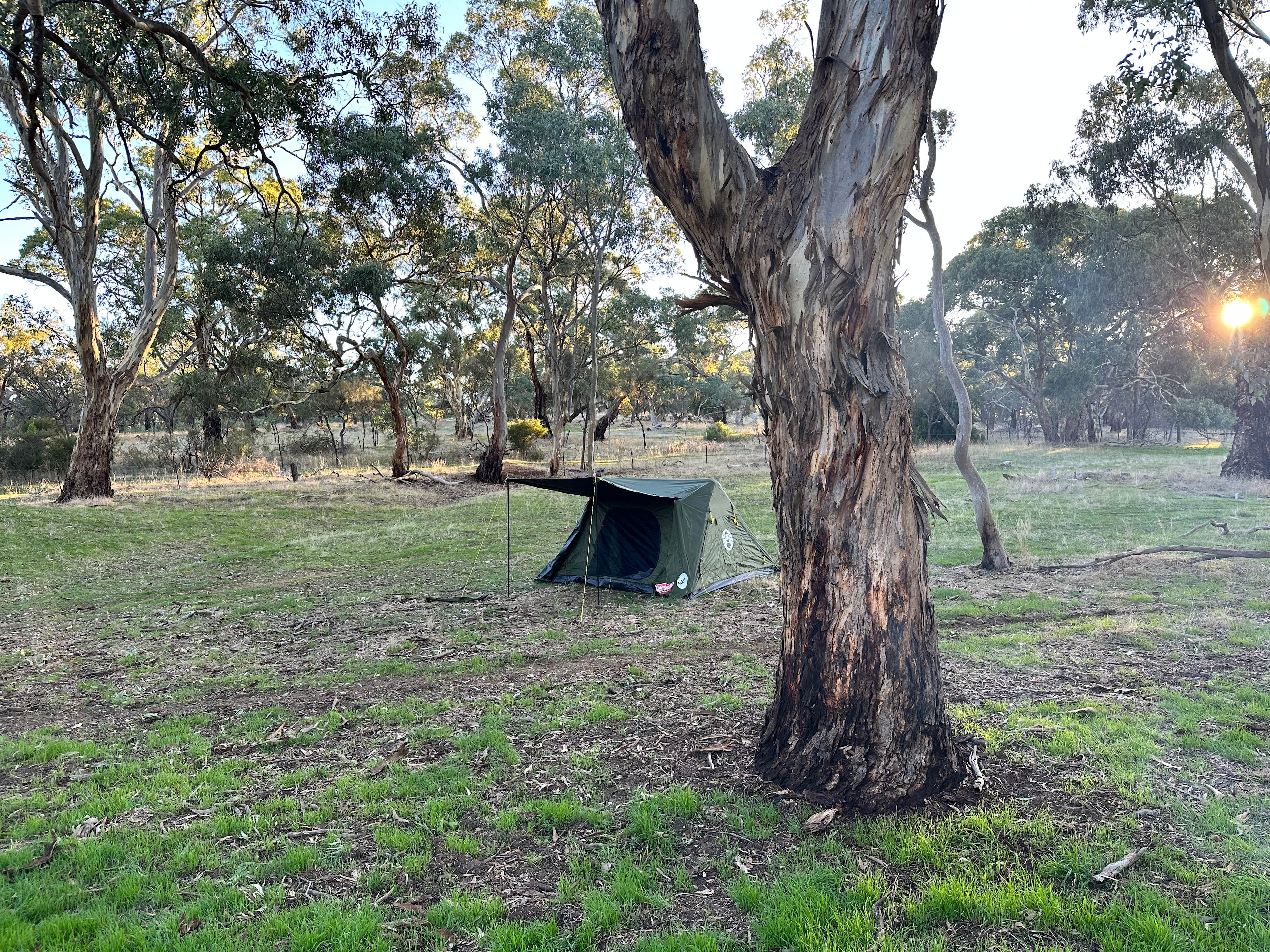 Gateway to the Clare Valley