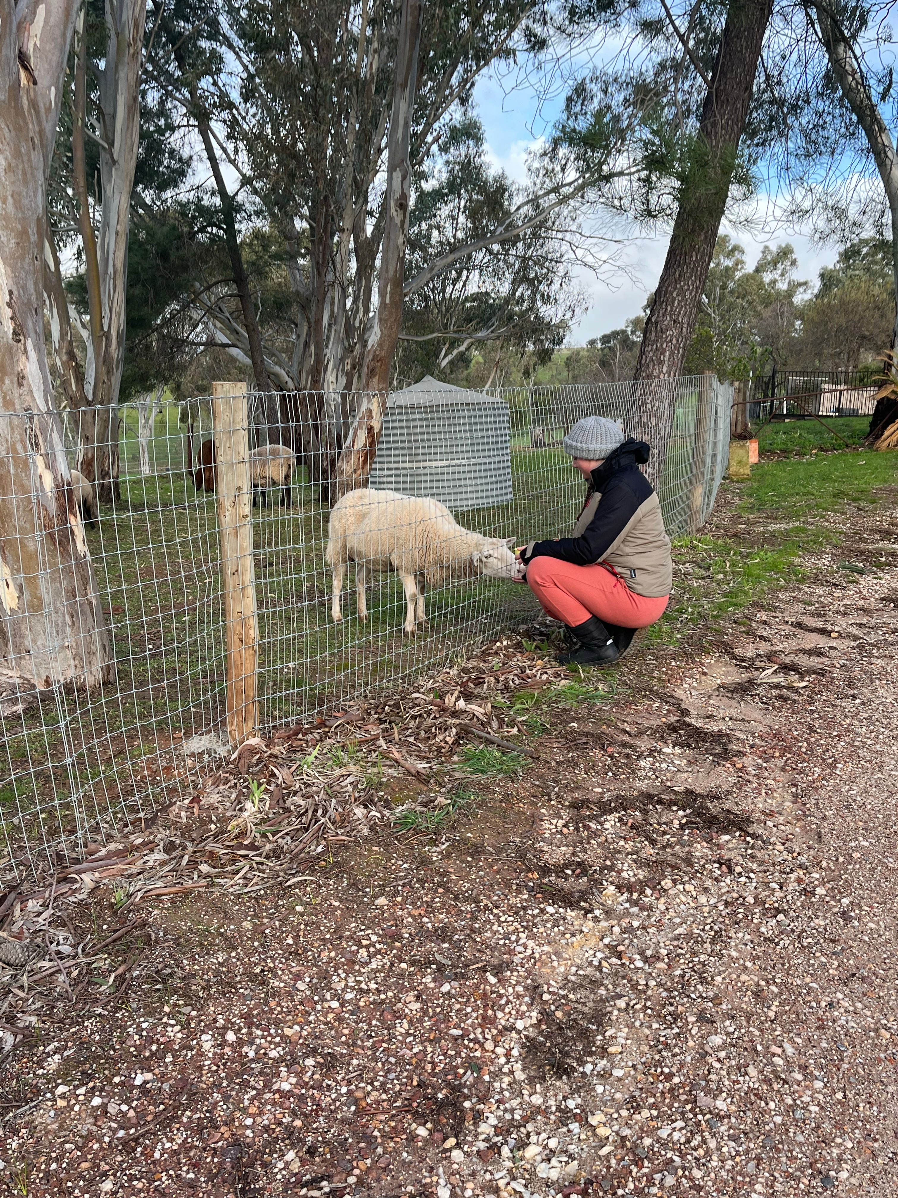 Cockatoo Valley Tiny Vacations