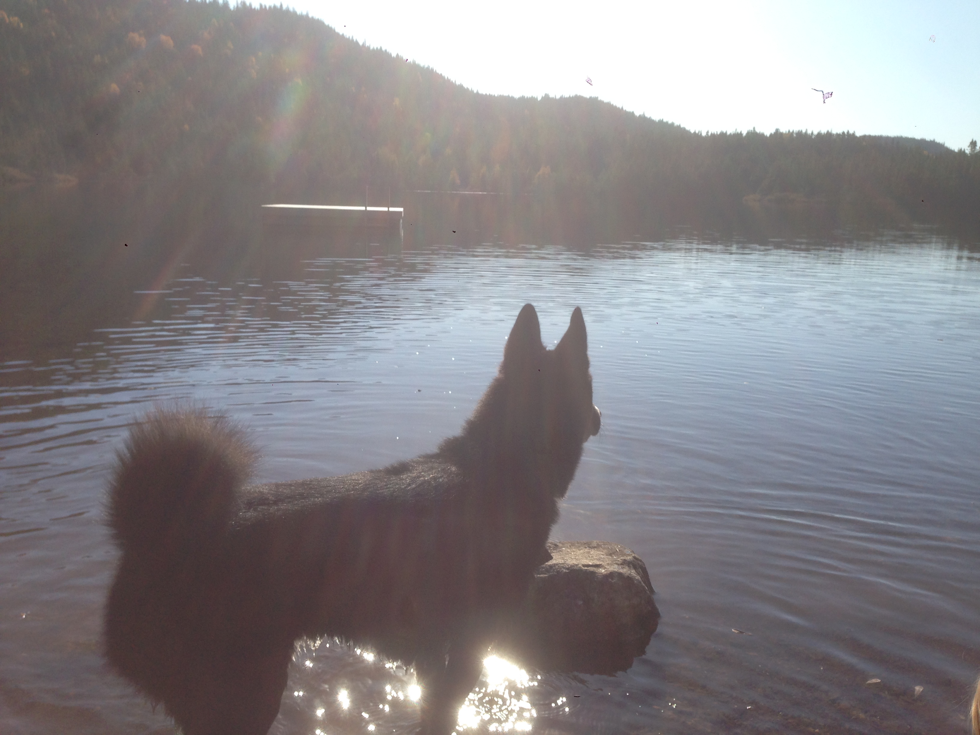 Best Kind Adventures