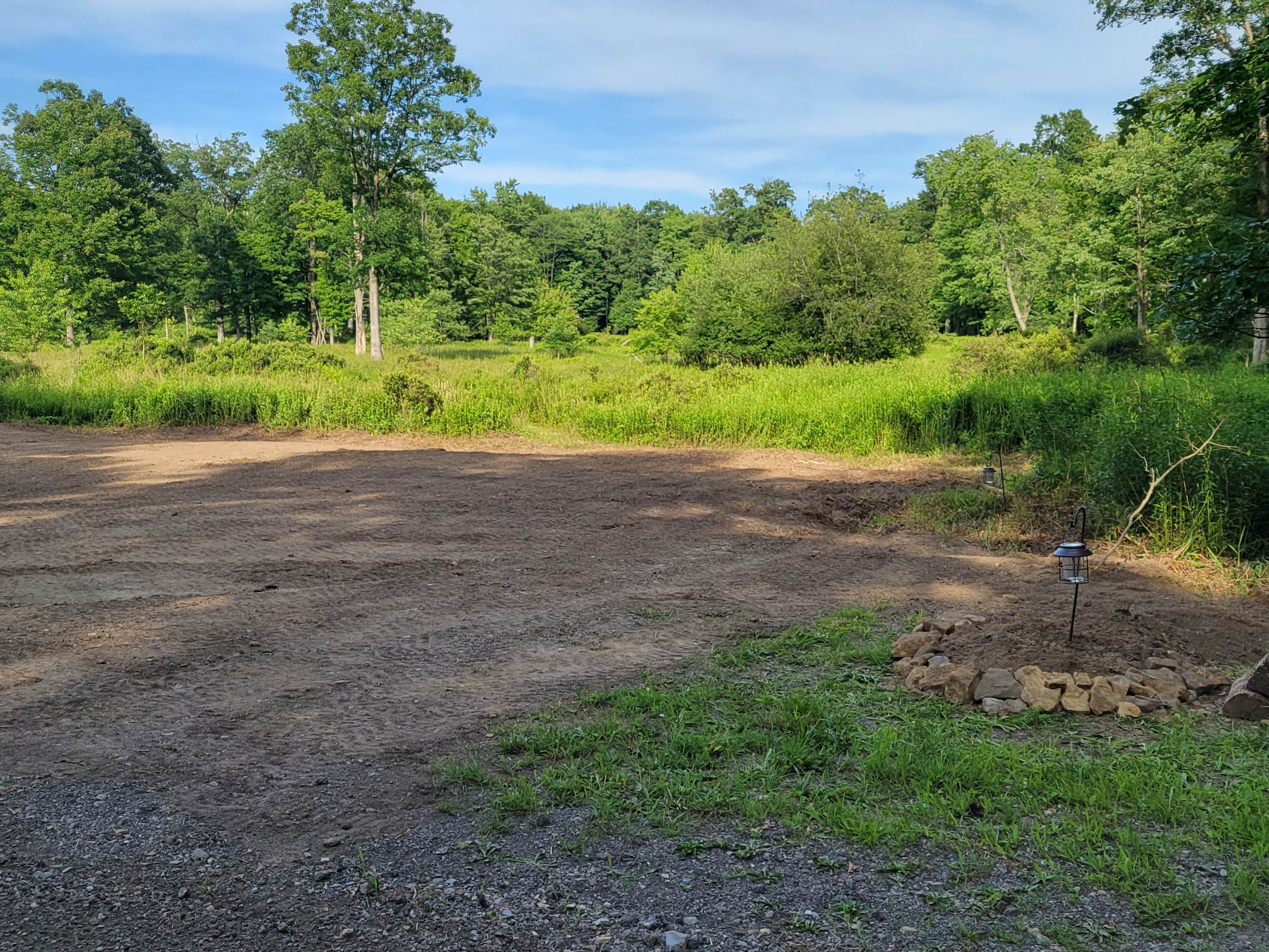 Mountain Springs Wellness