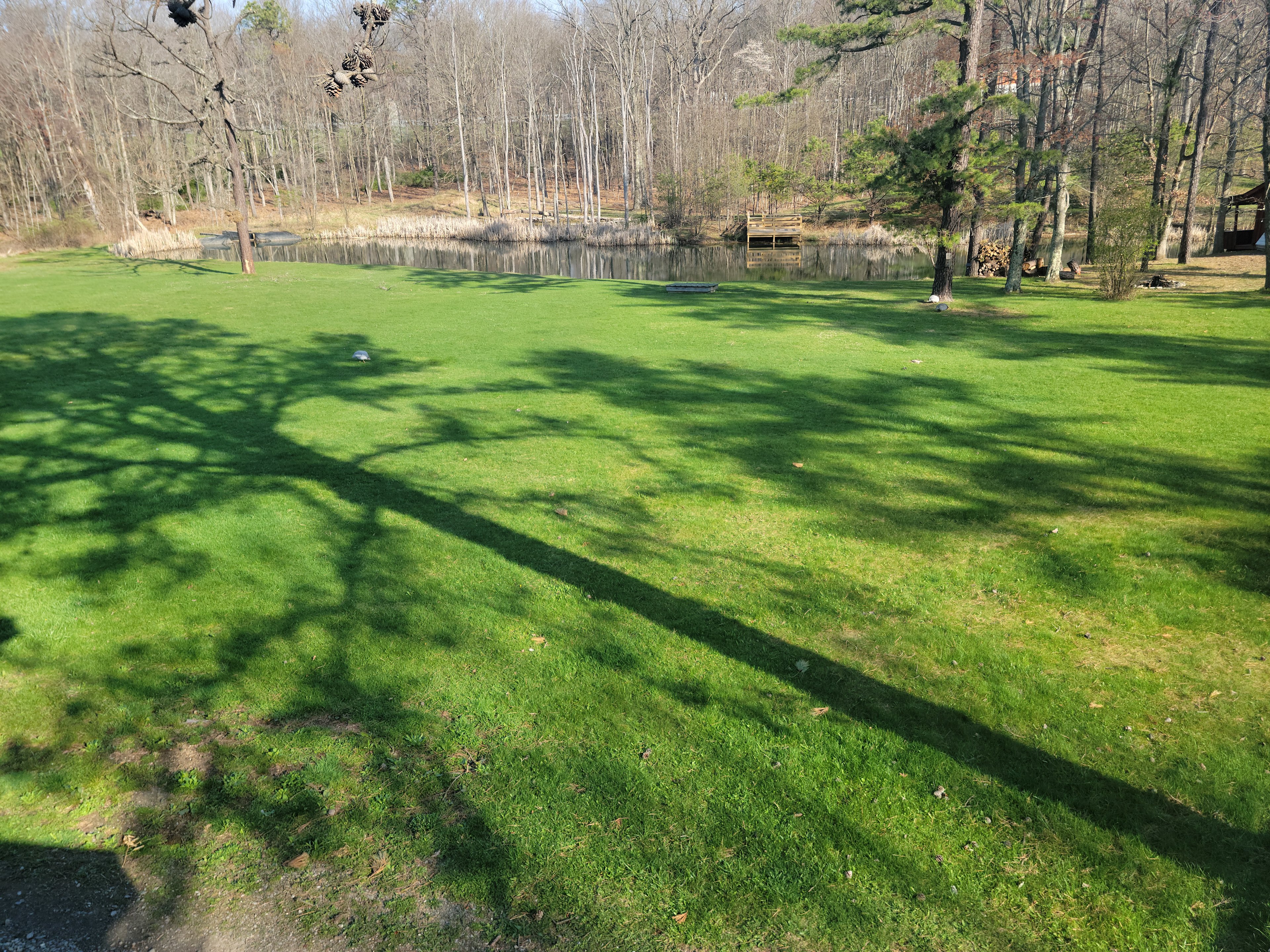 Mountain Springs Wellness