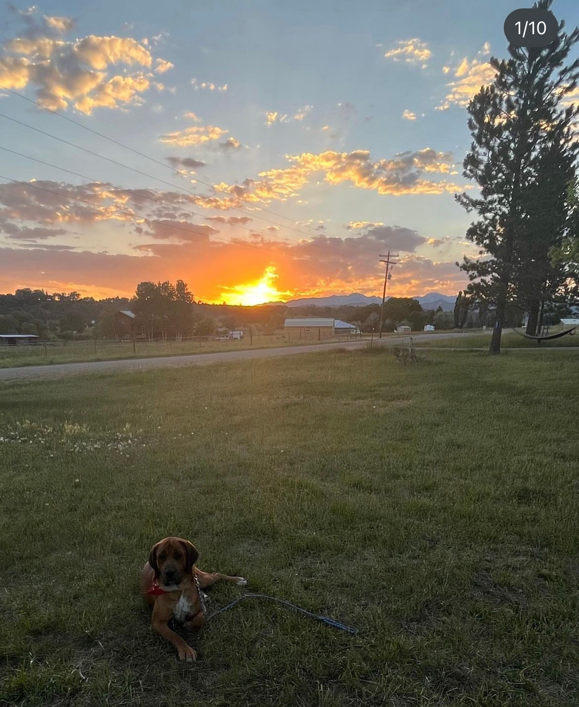  Sunset at Juniper Moon