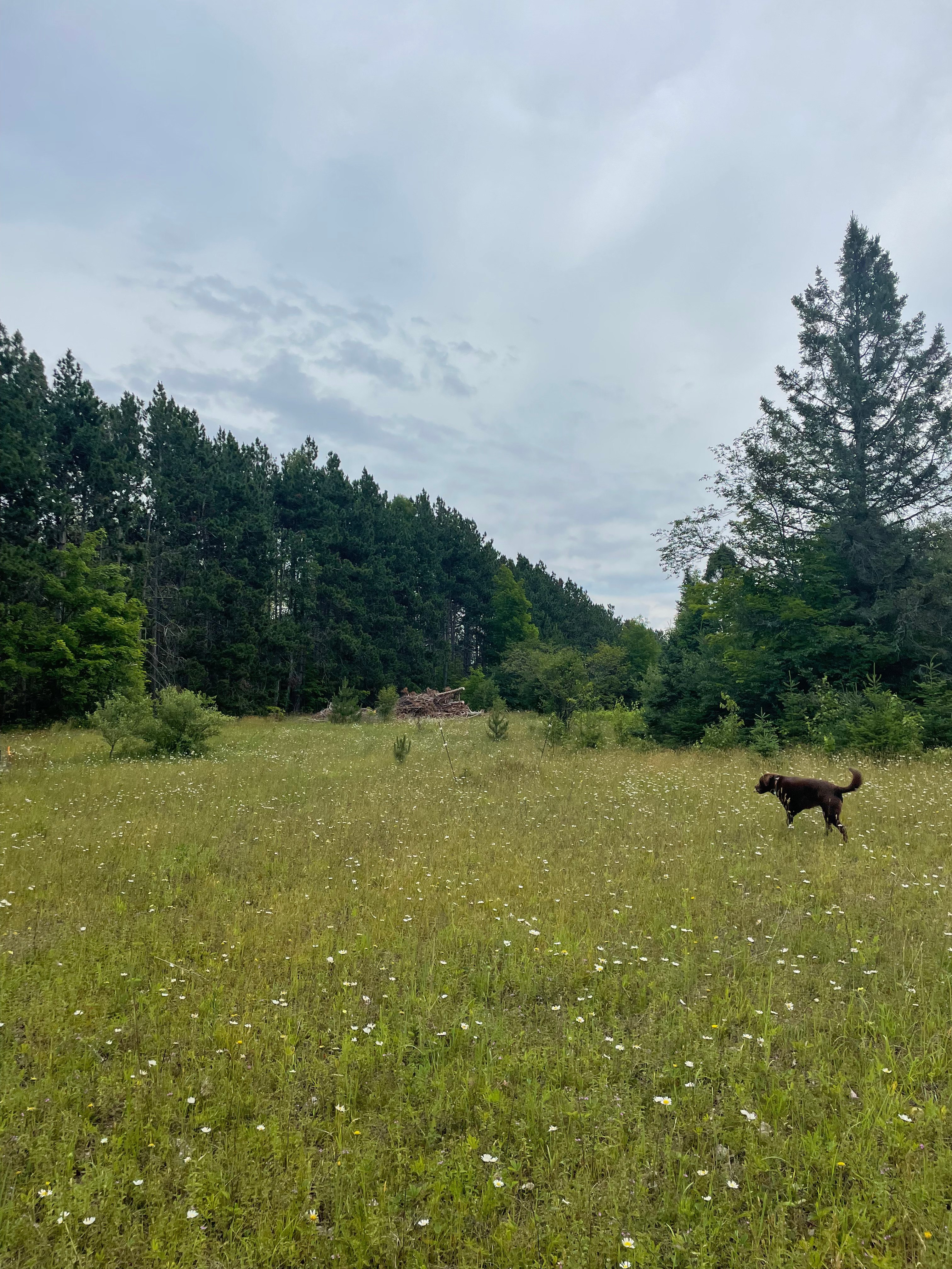 Churning Rapids Pasture campsite!