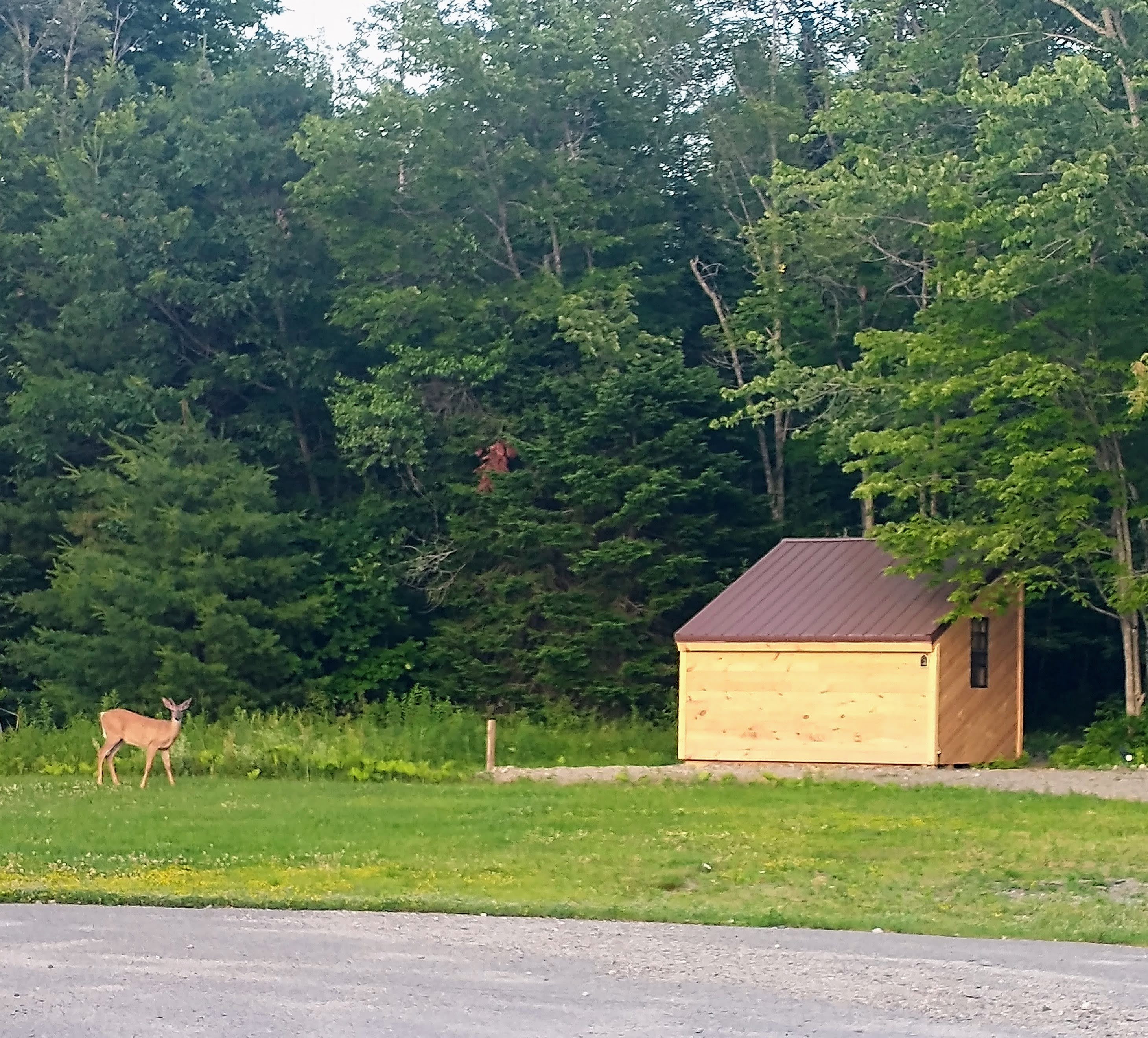 Schlafman's Hollow Camping Cabins
