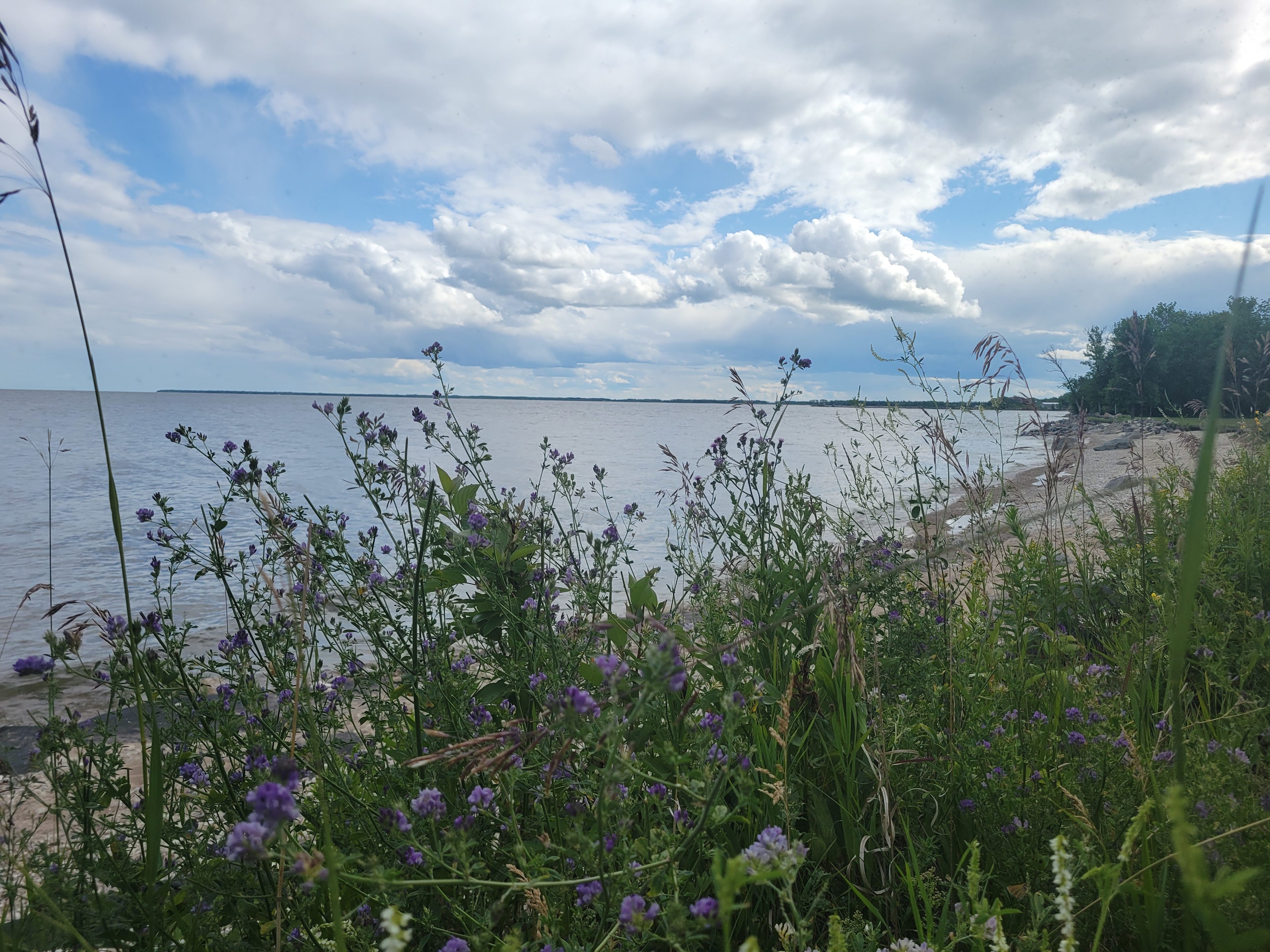 Lake Winnipeg Beachfront Eyrarbakki