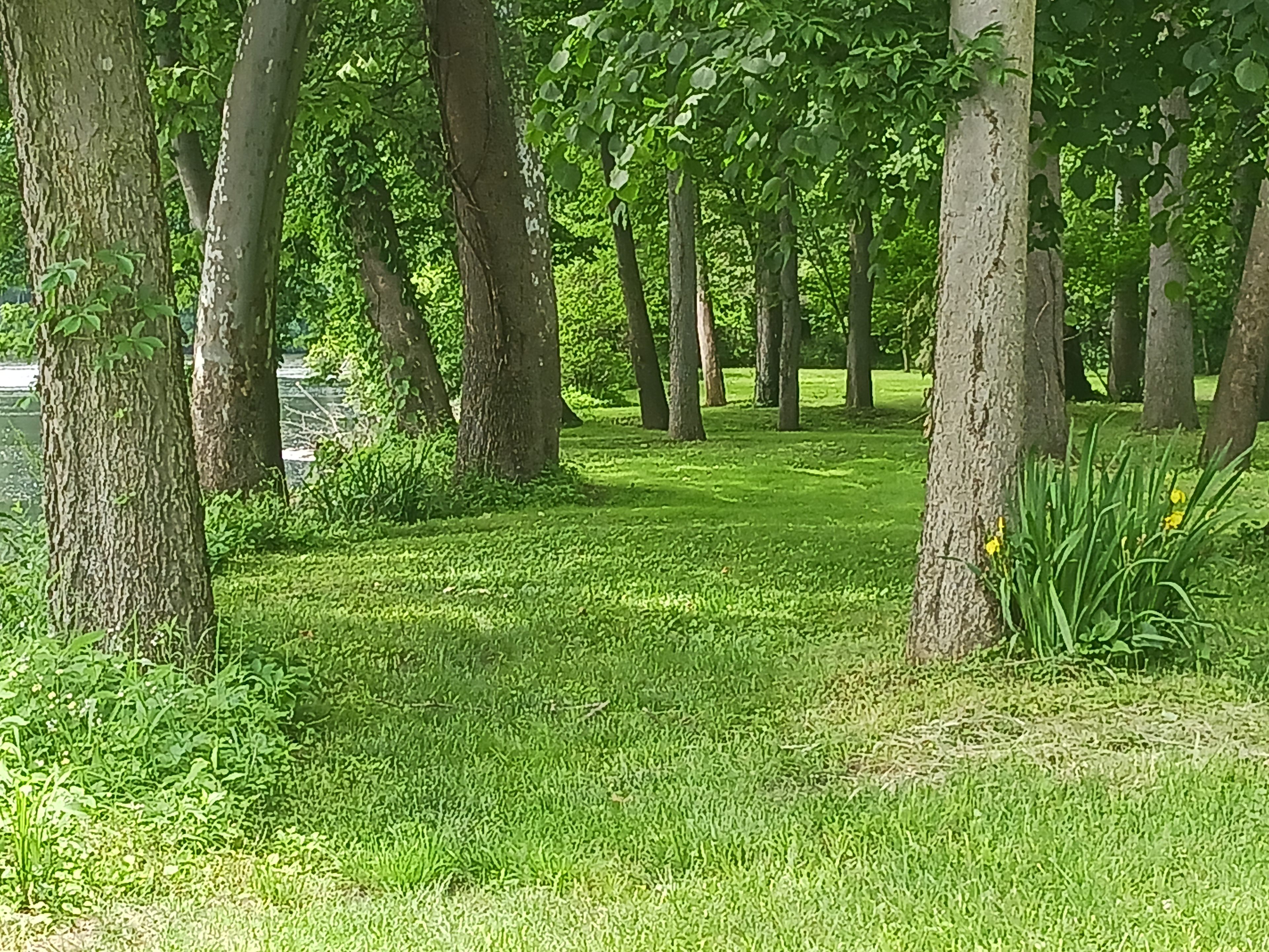 The Haven