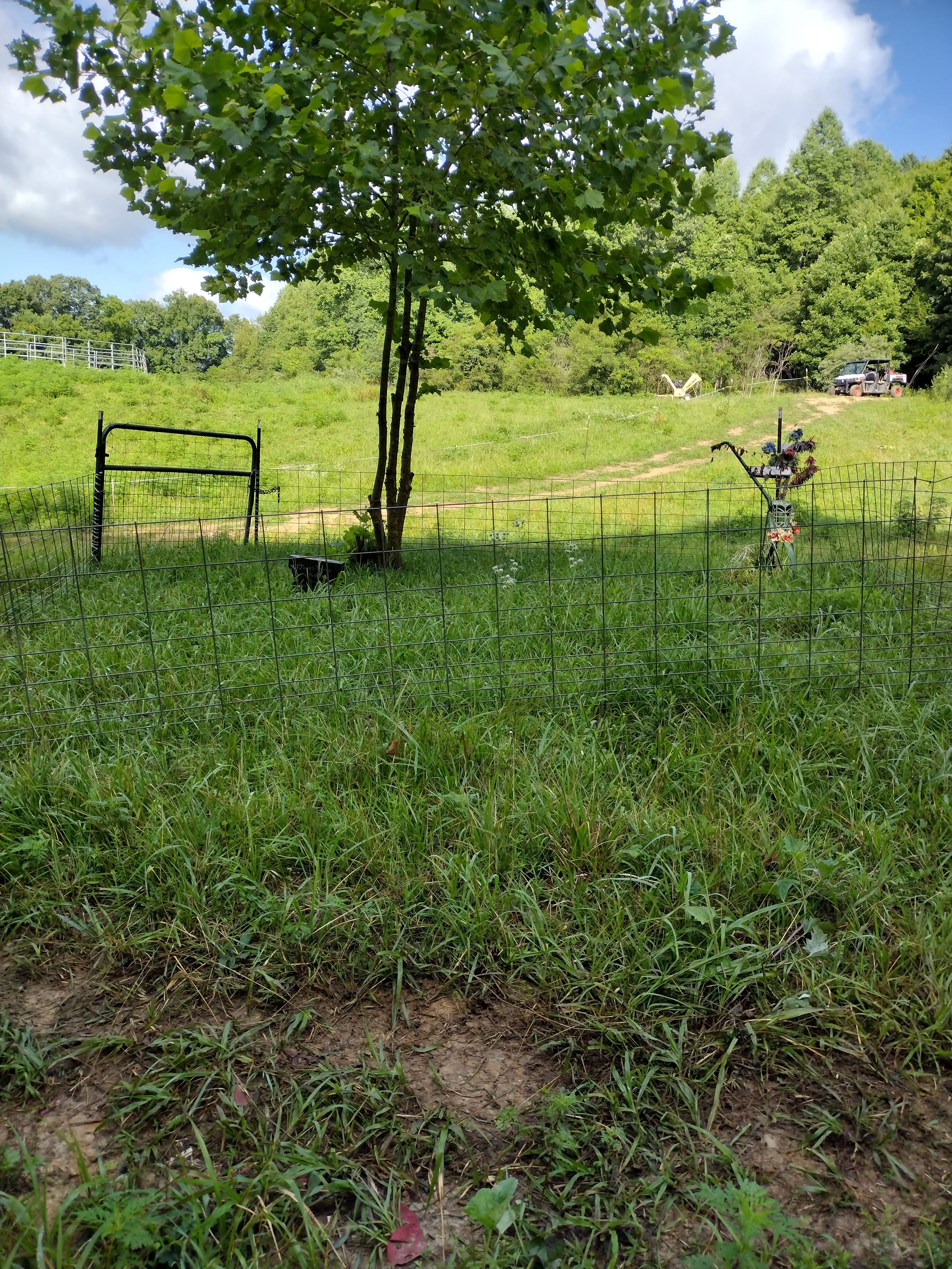 Small family cemetery 