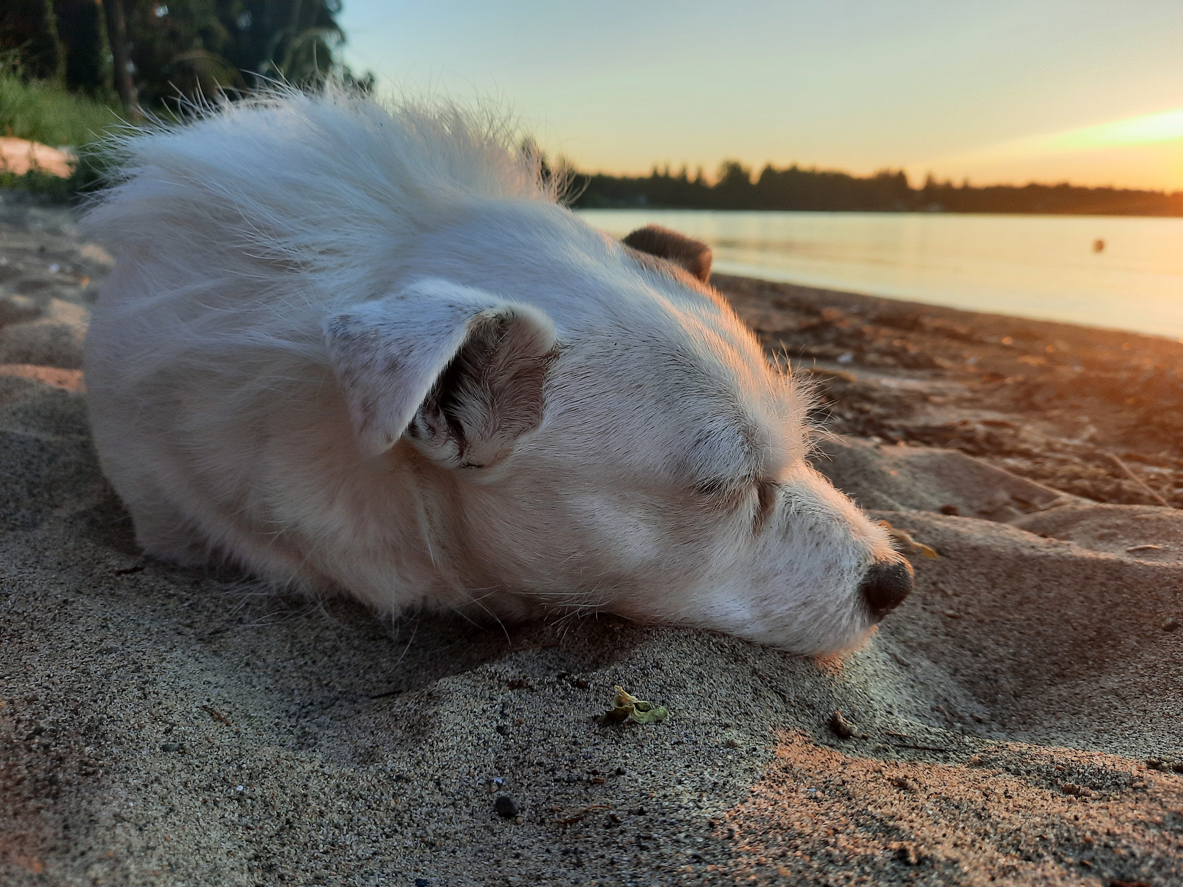 Quiet beach 5 min drive away