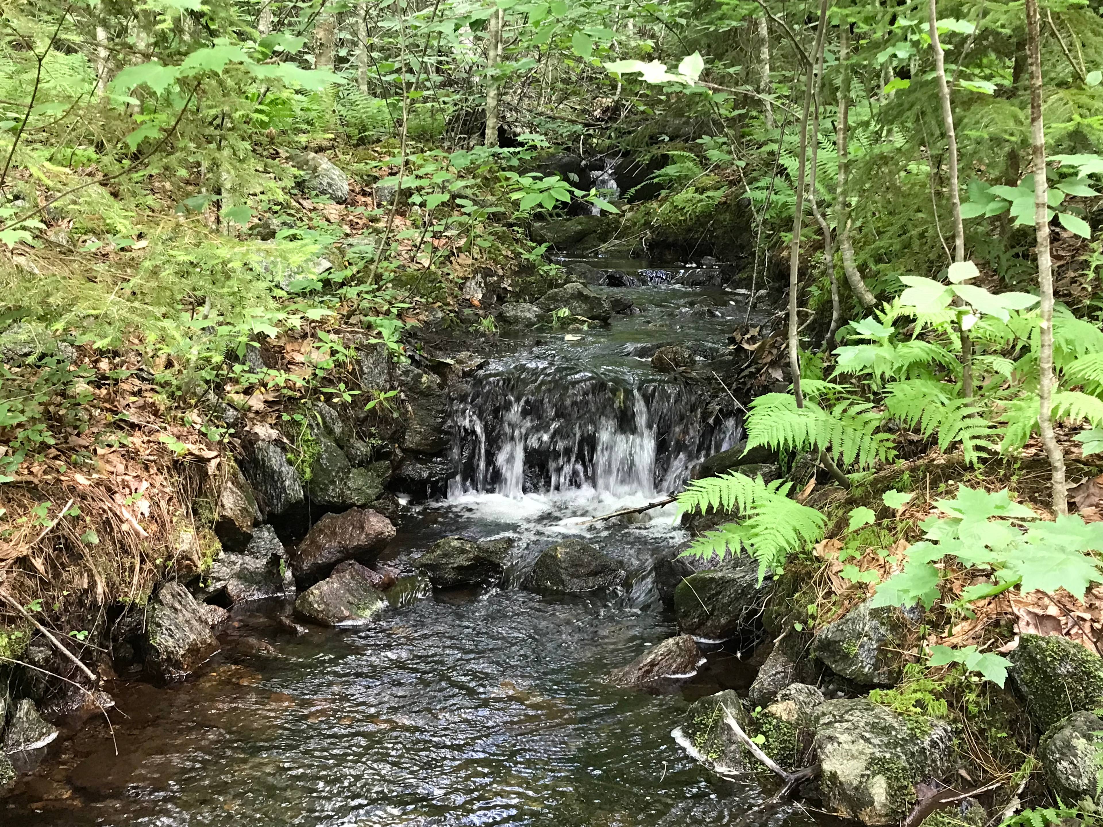 Stream.