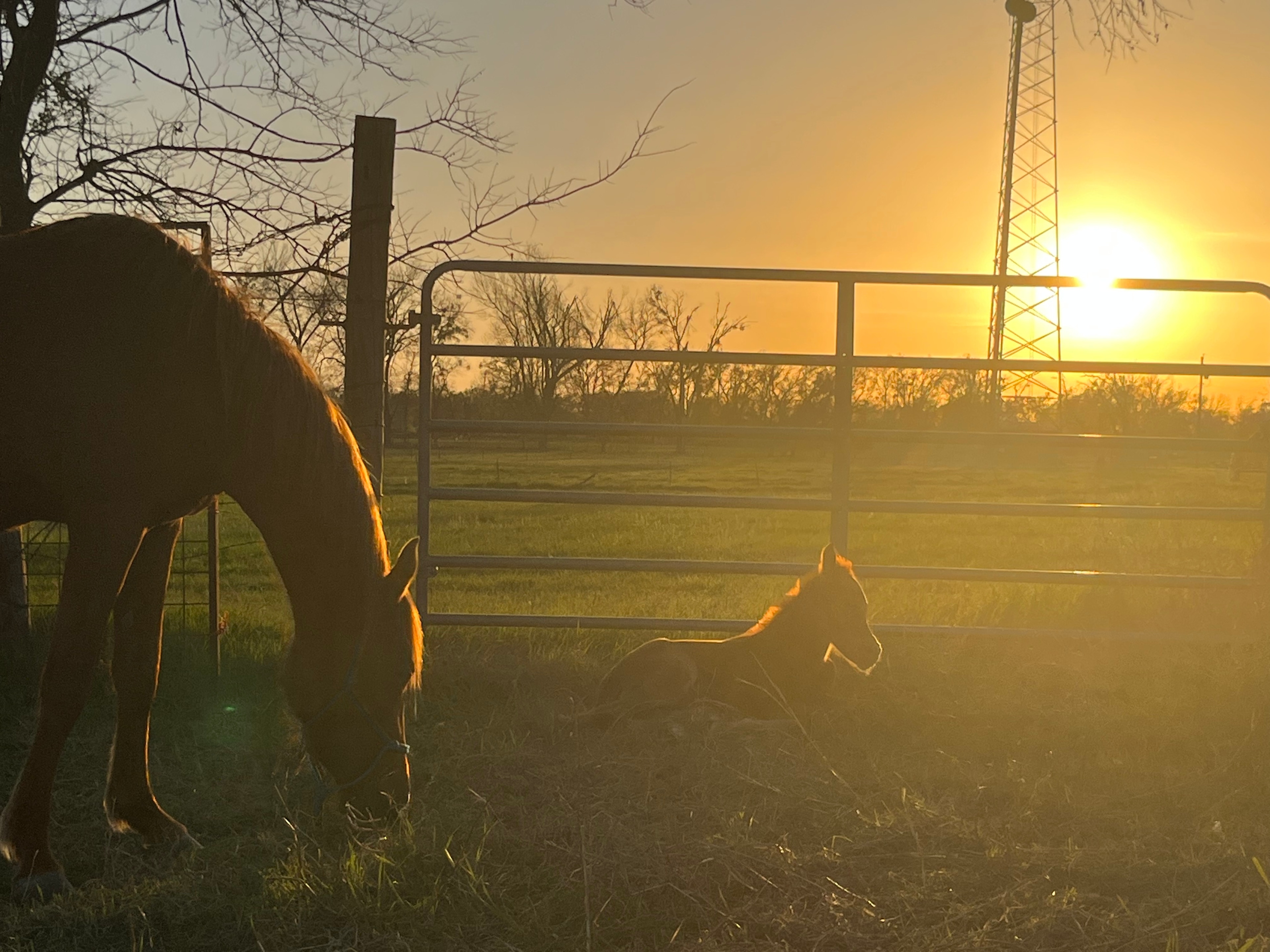 P² Farm | Scenic River Camping