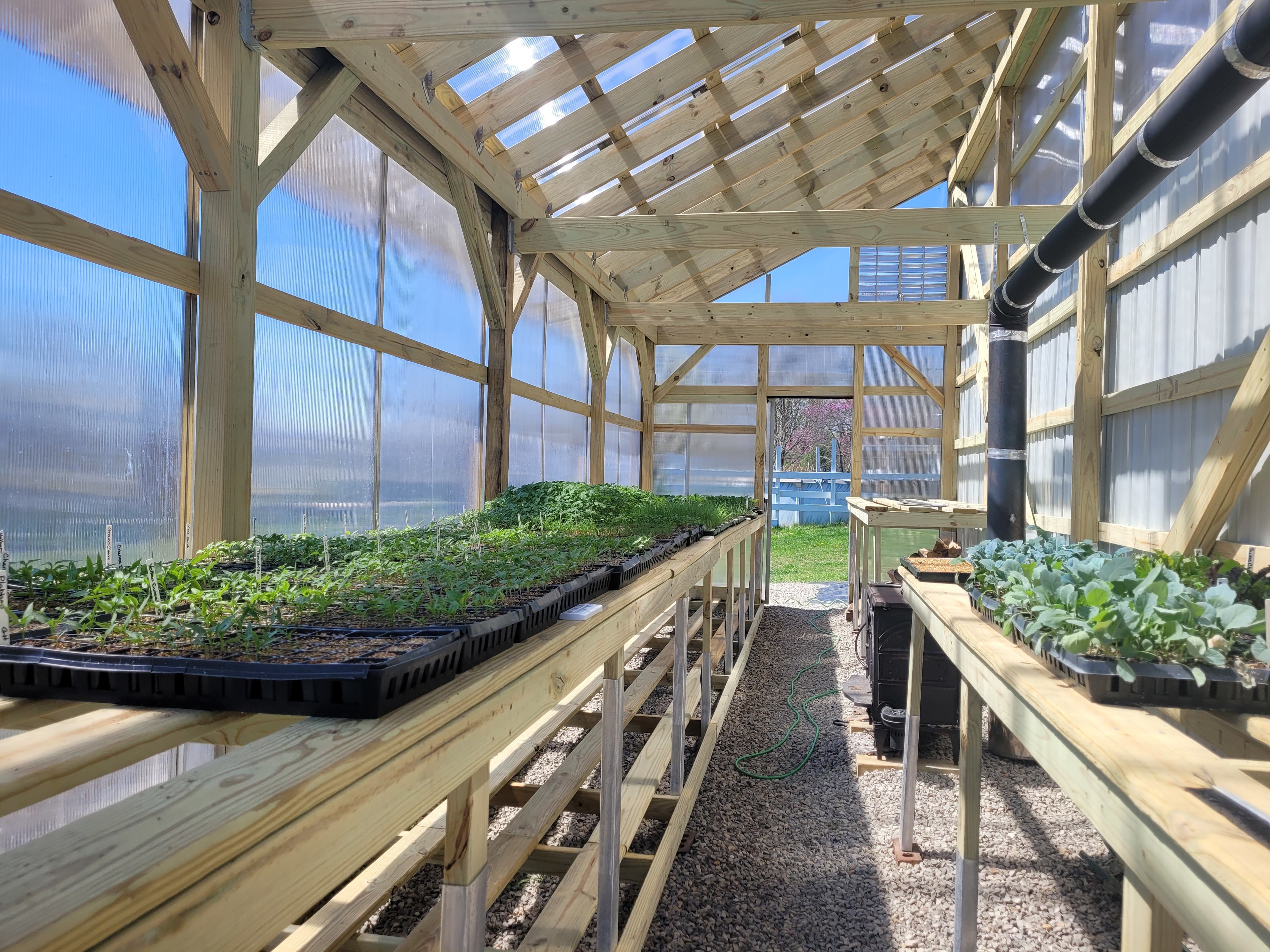 Hammerie Farm Garden Camping