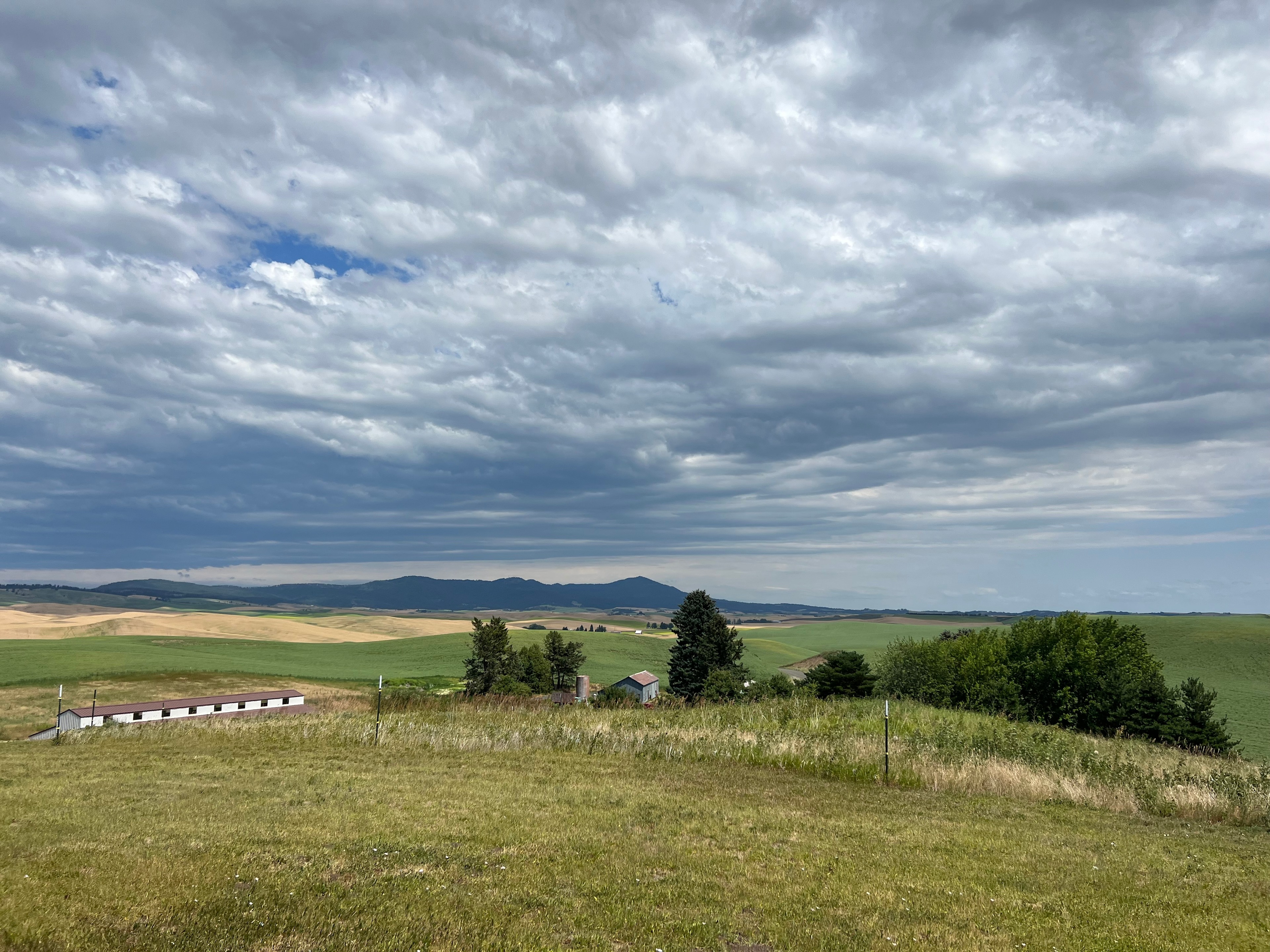 View of Moscow Mountain.