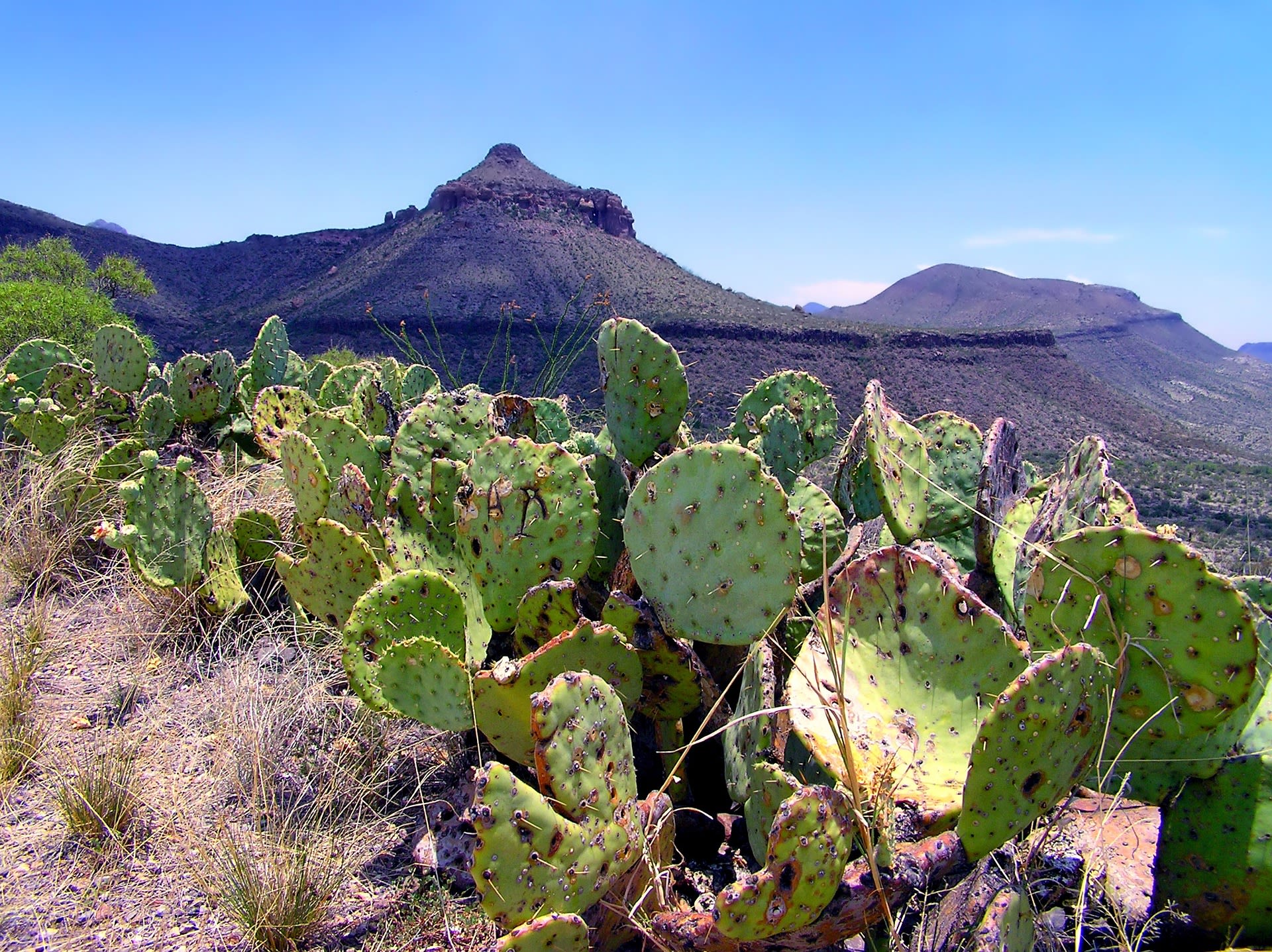 Big Bend Overland Adventure Camping
