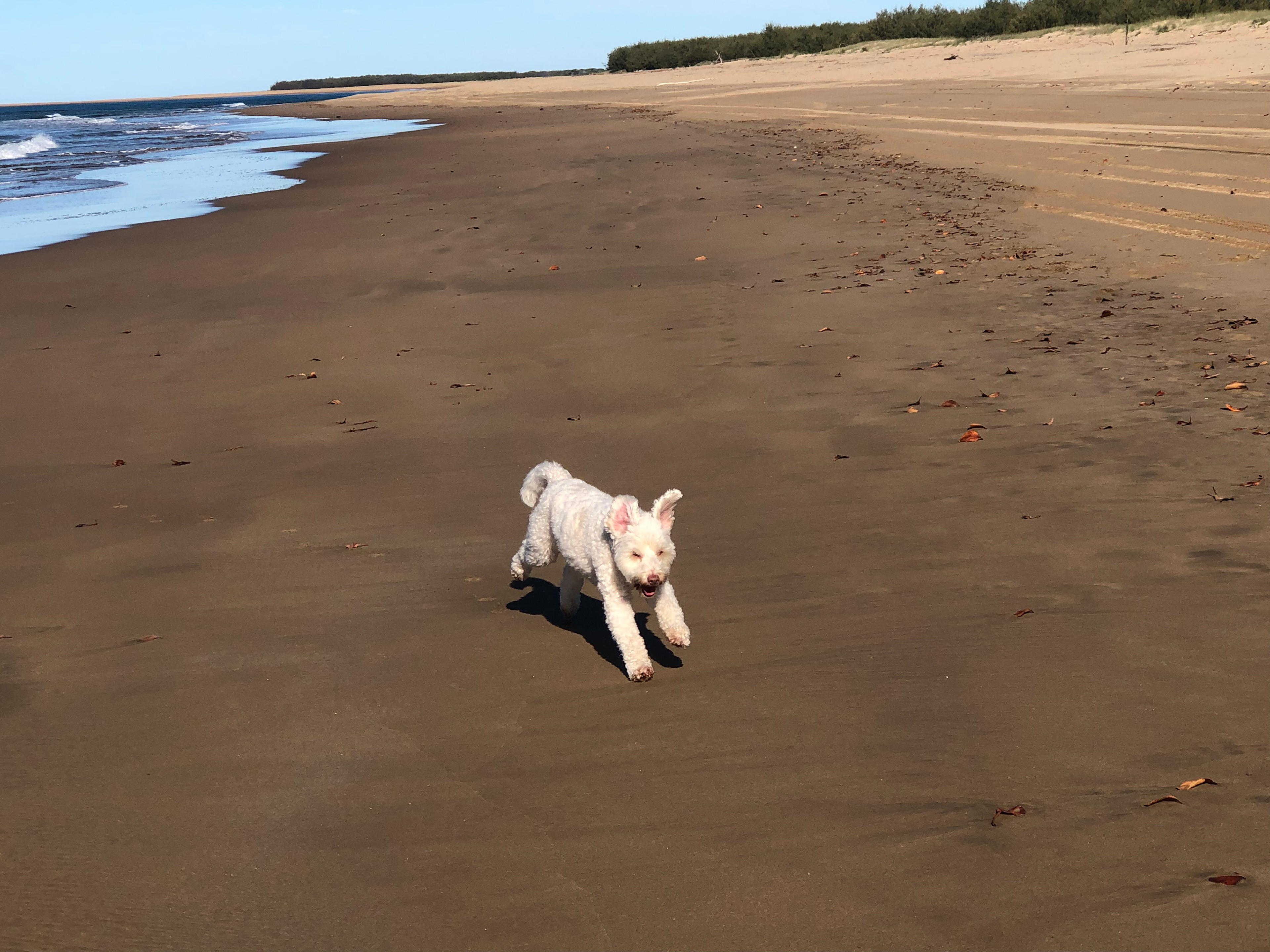 Baffle Creek Boat Hire and Accom