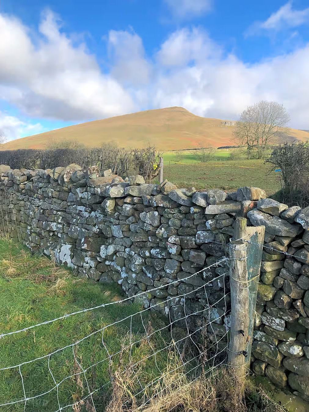 The Old Chapel Campsite