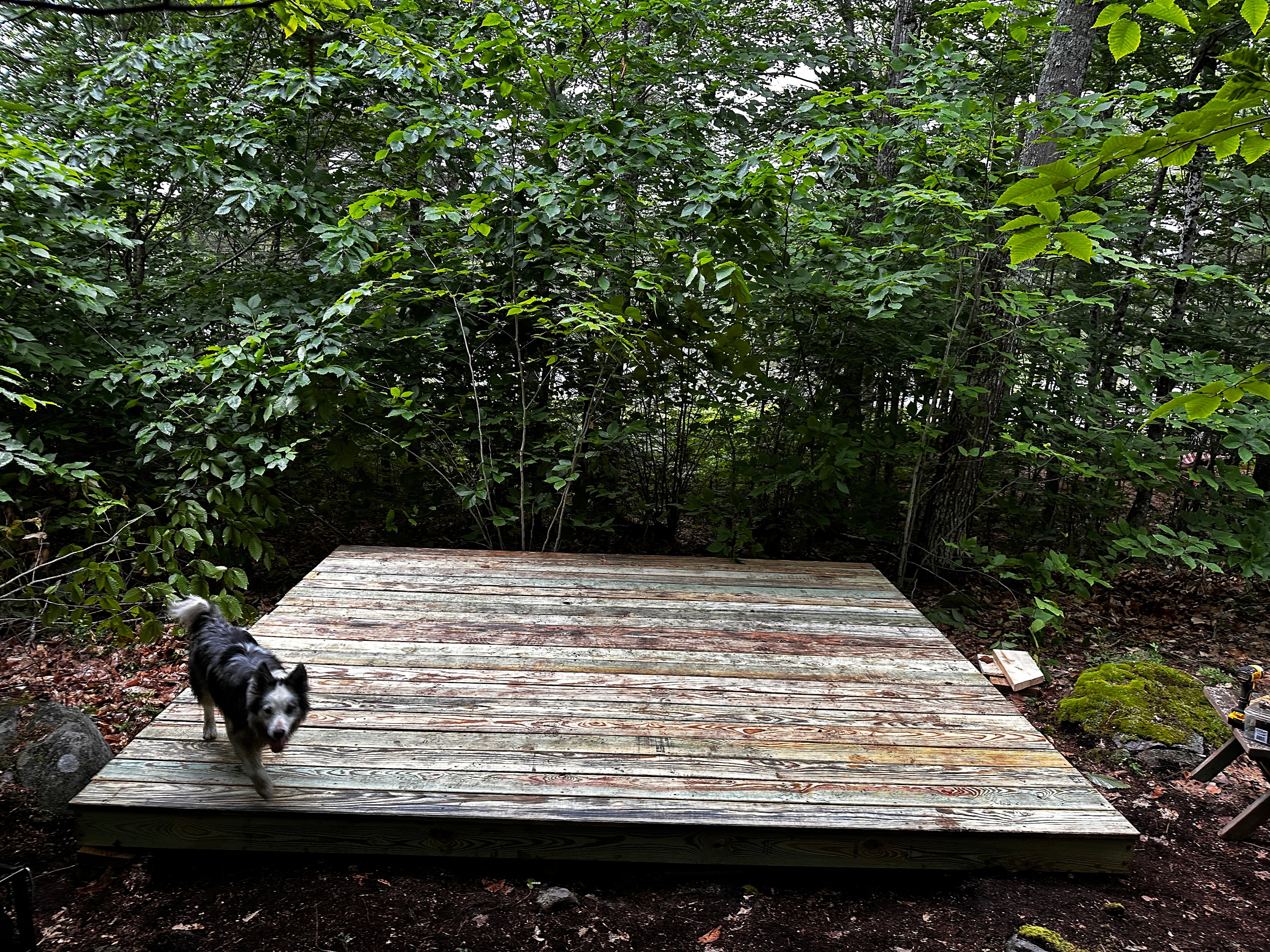 Tiny Cabins of Maine