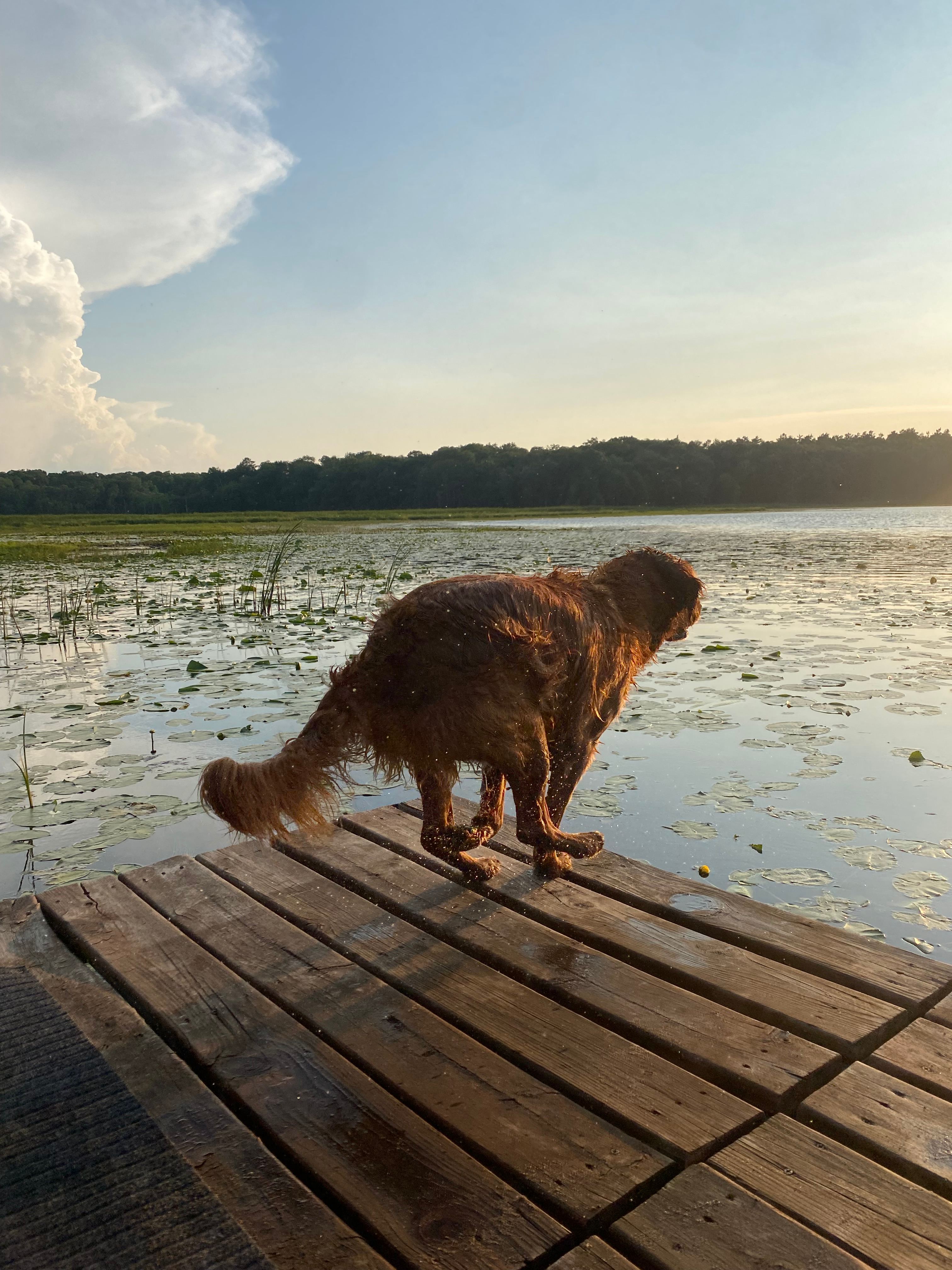 Hay Lake Basecamp Canvas Tent
