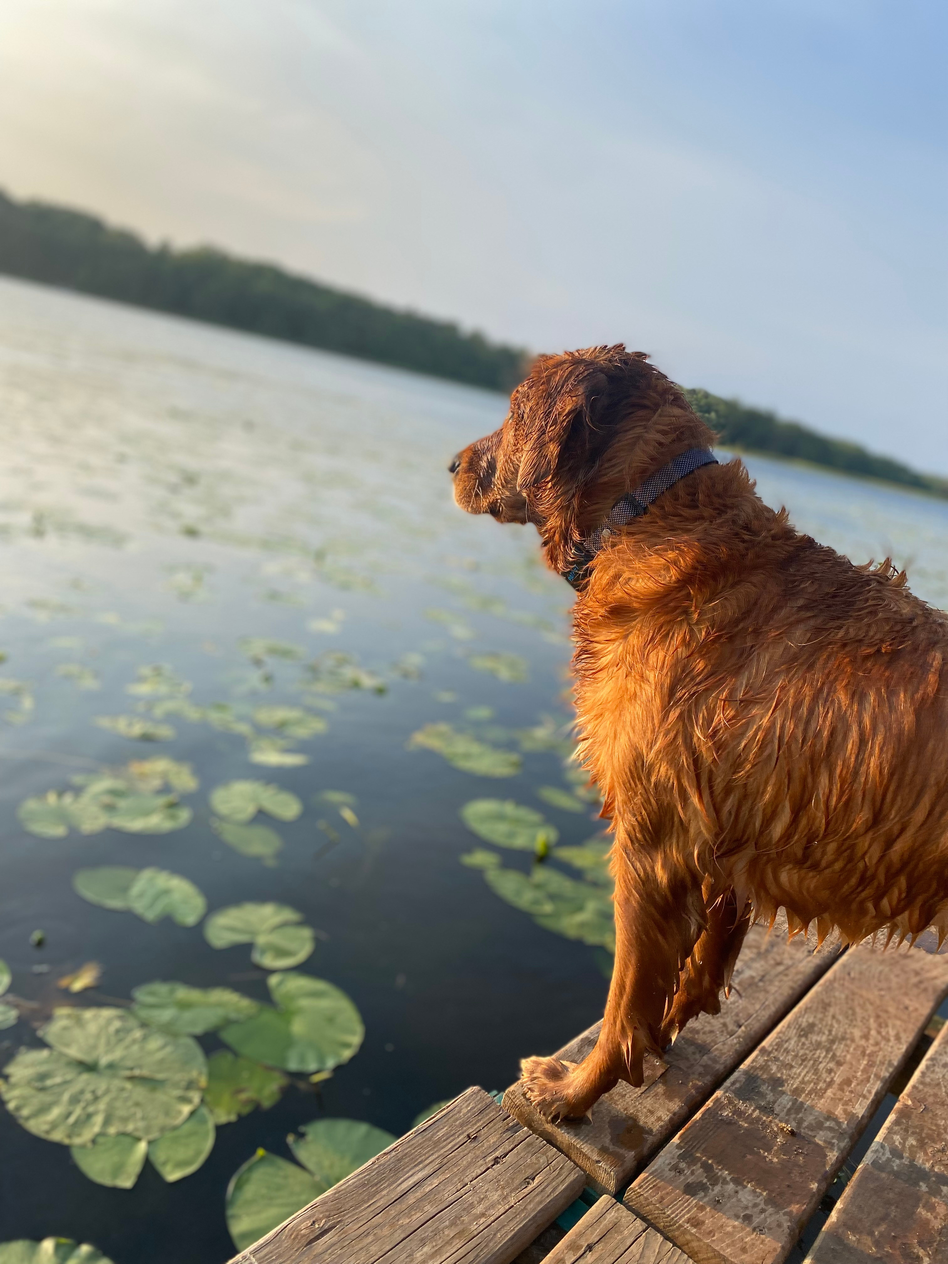 Hay Lake Basecamp Canvas Tent