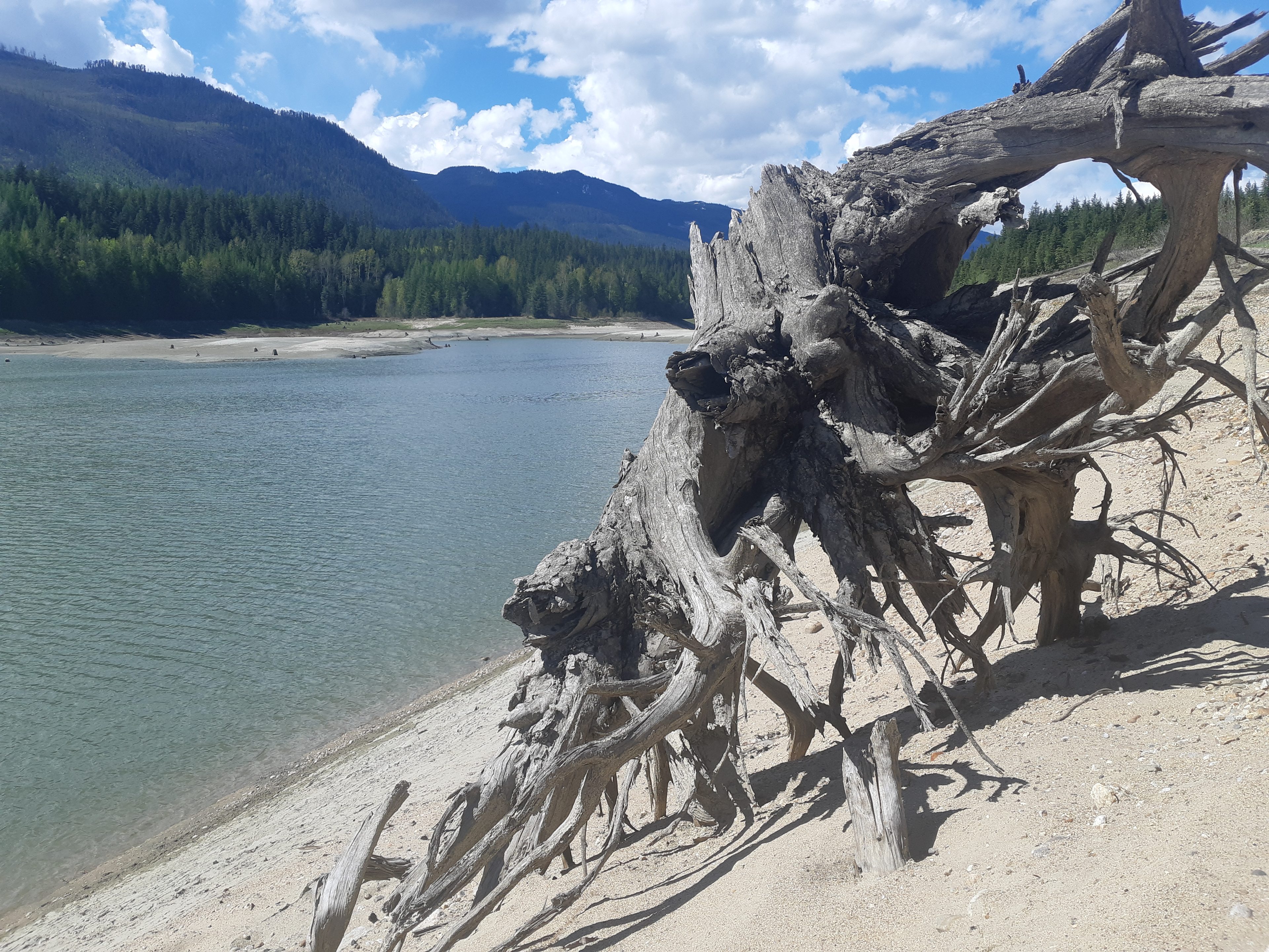 Kootenay Born retreat by Arrow lake