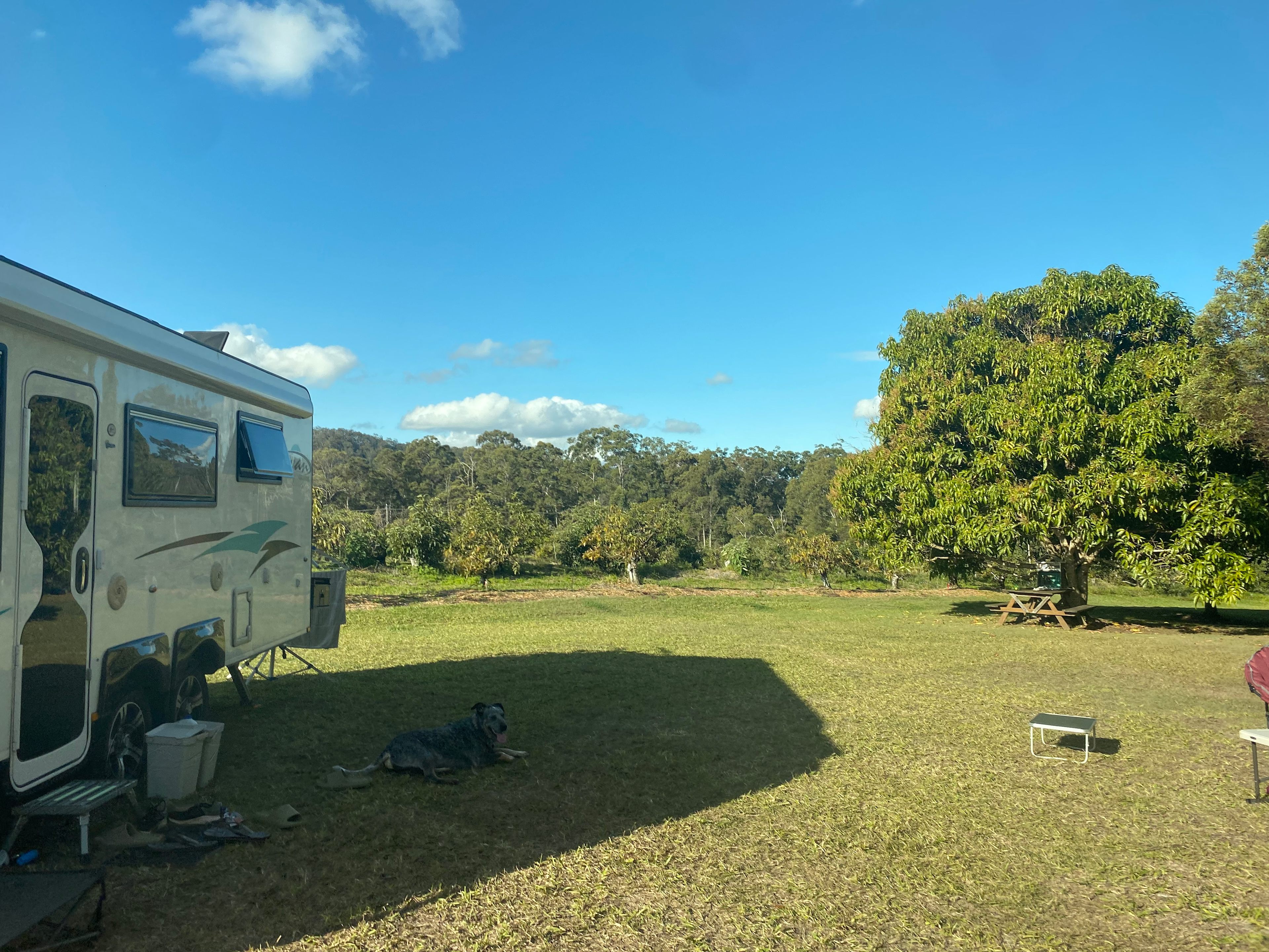 Wolvi Grove Avocado Farm Camping