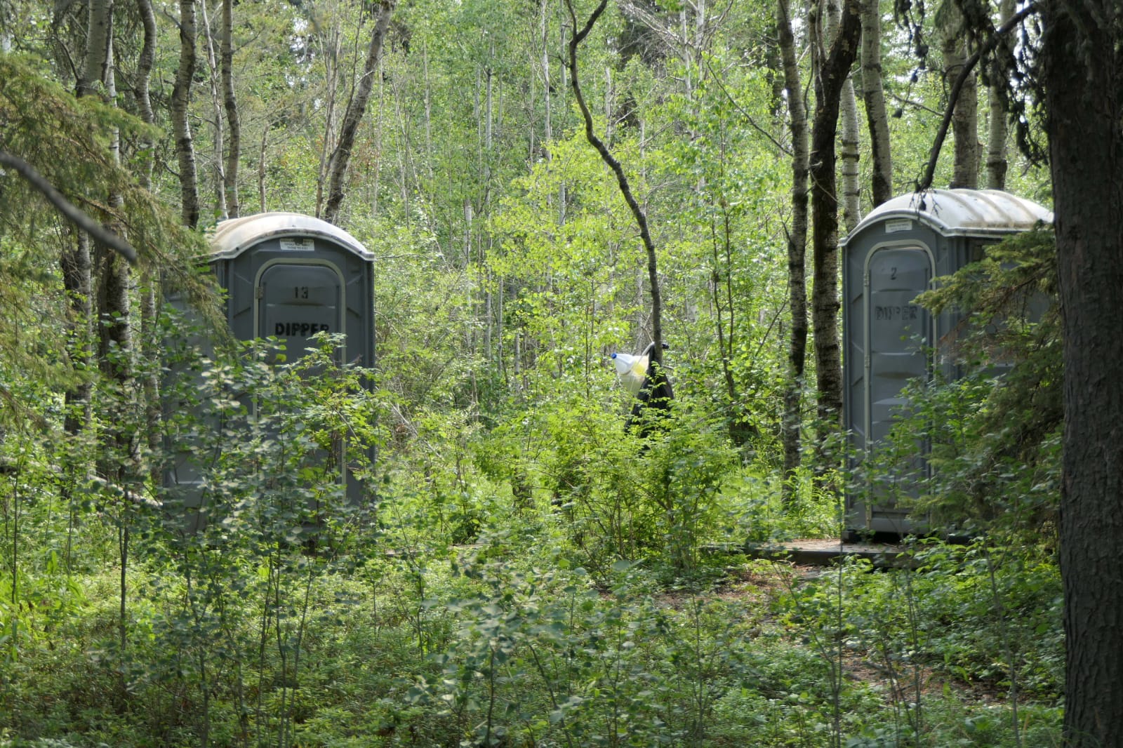Winefred Lake Lodge Wilderness Camp