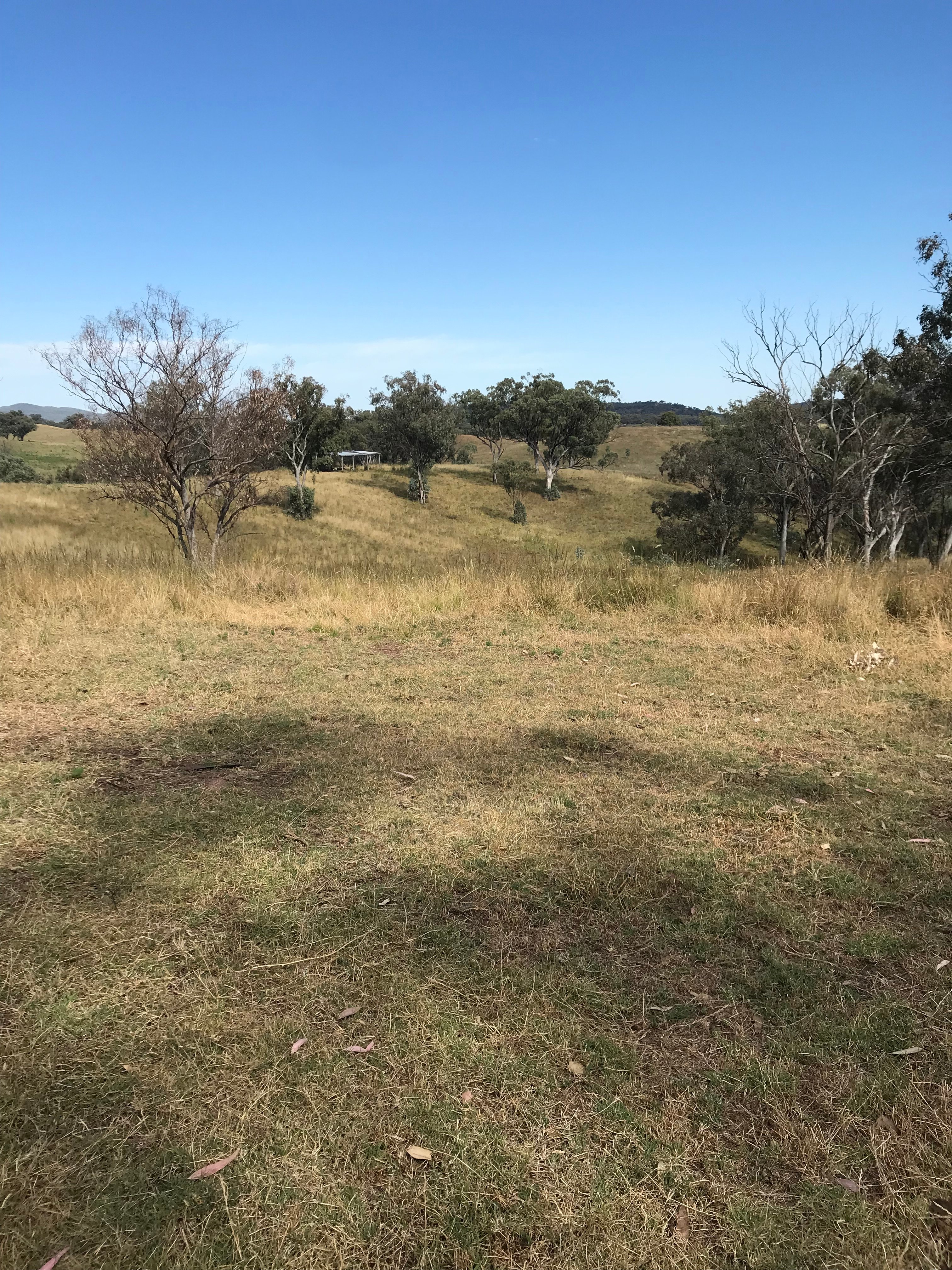 Great spot for a tent ⛺️ 