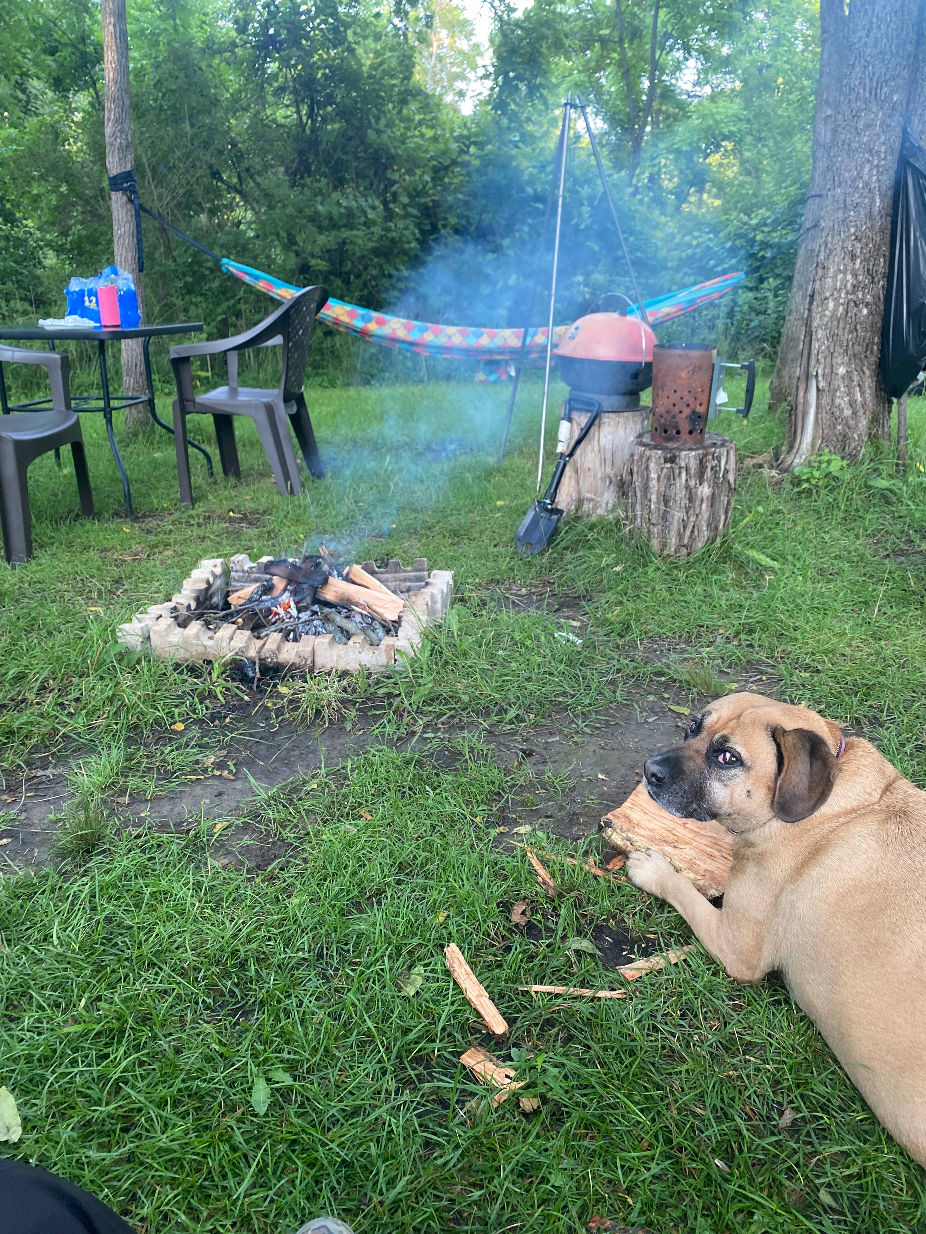 Our dog Hope loves camping with us and she loved this place. 