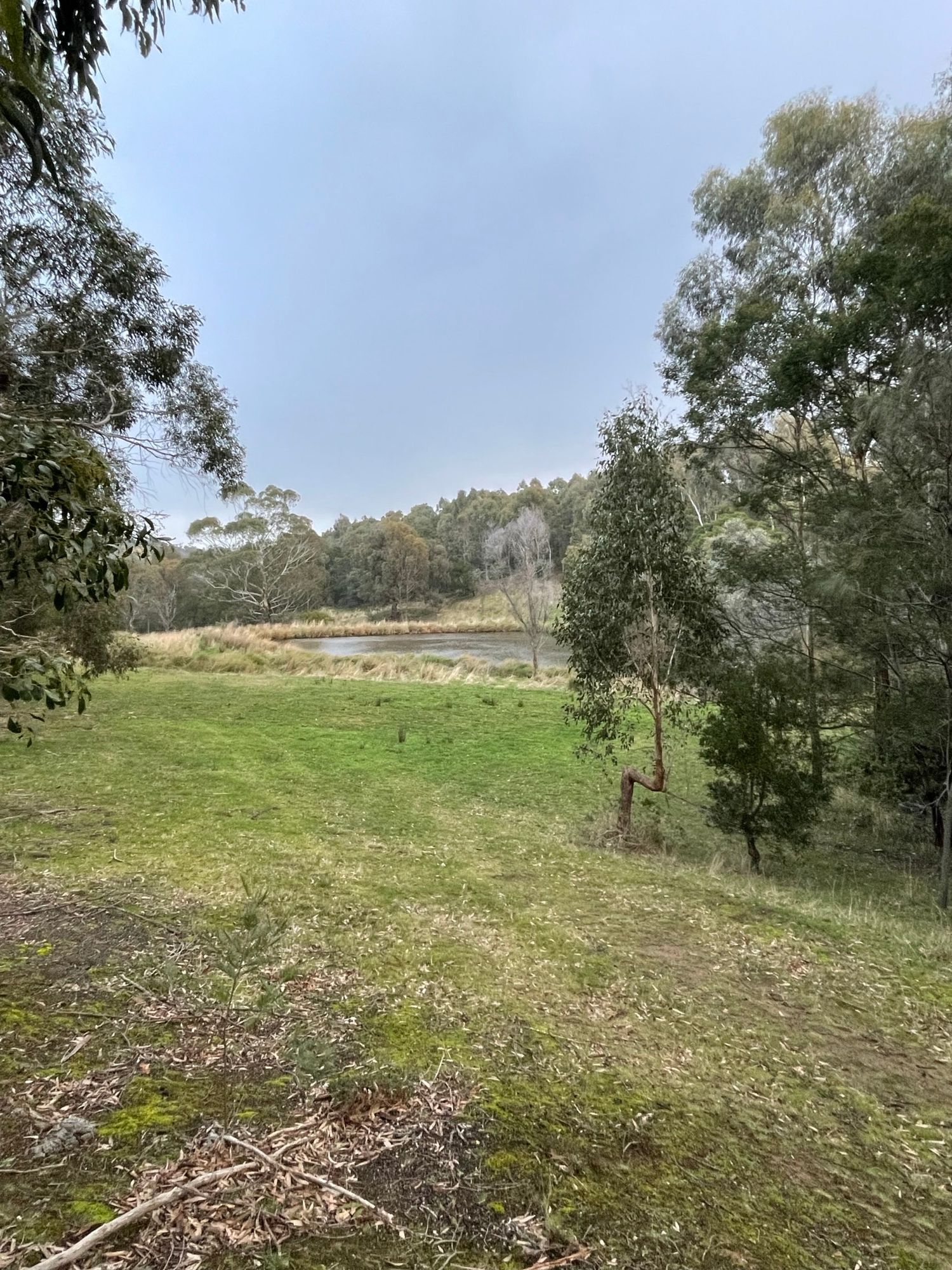 Two Dams Paddock