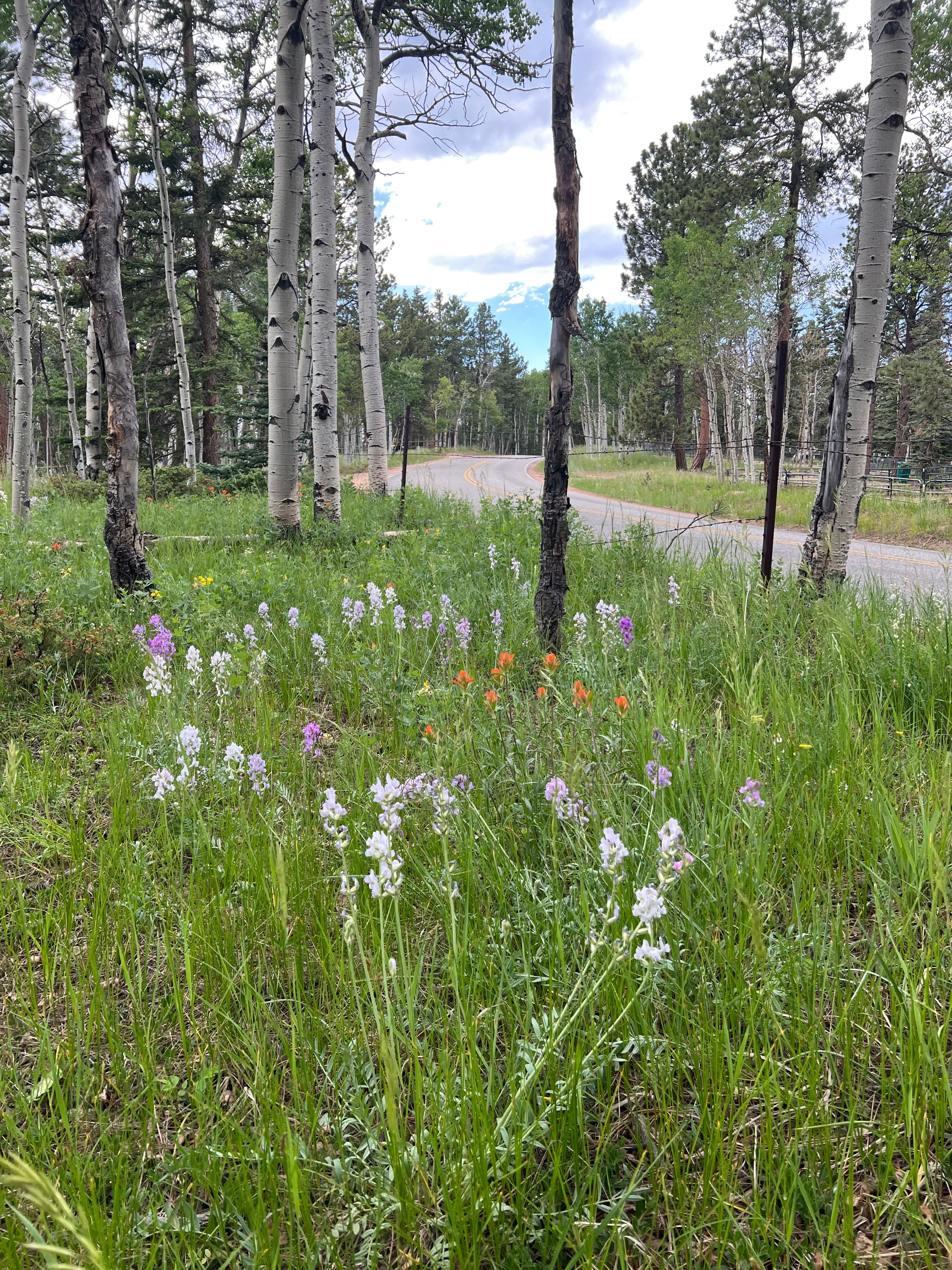 Easy access to the property 