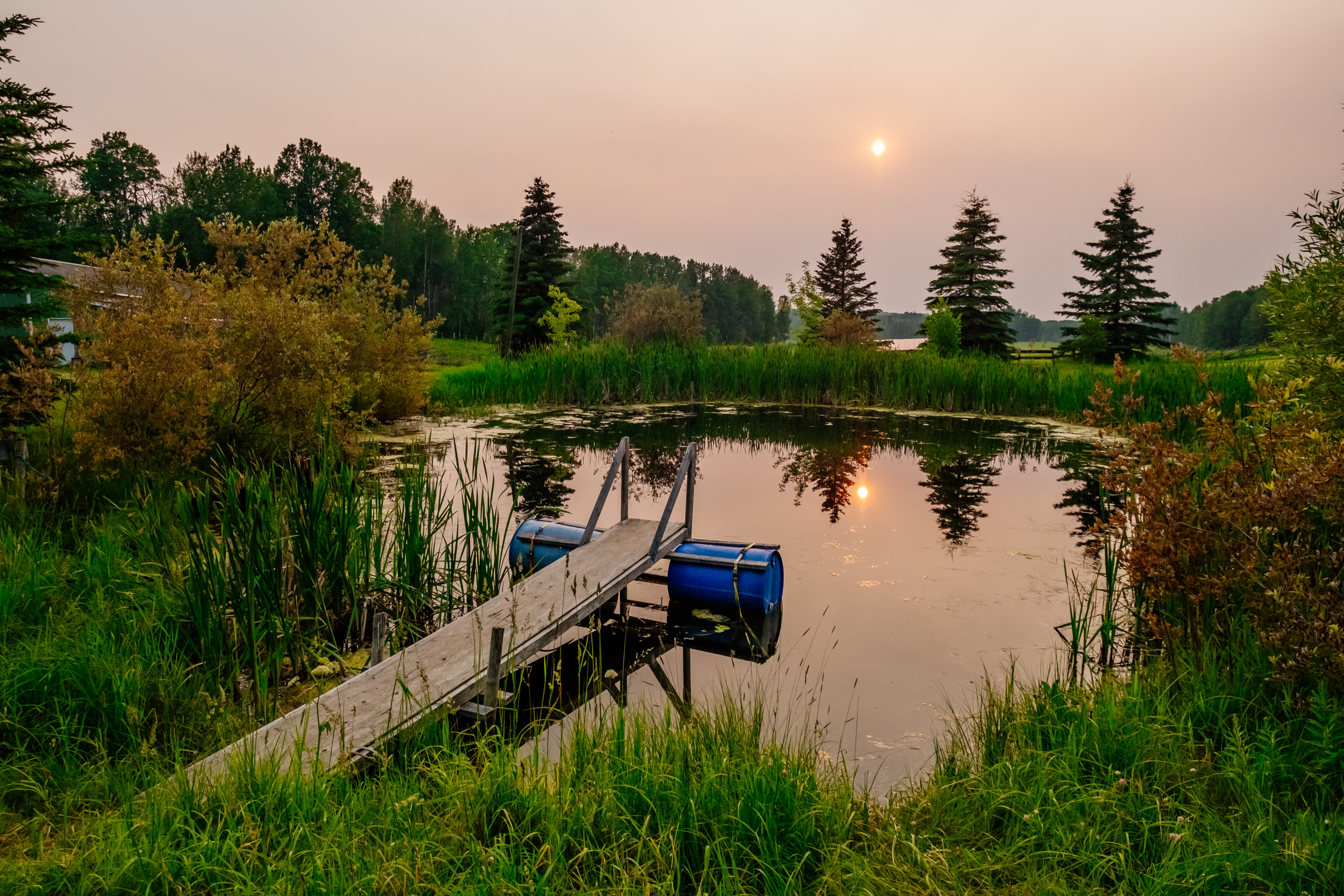 Pretty pond with great view of sunset.