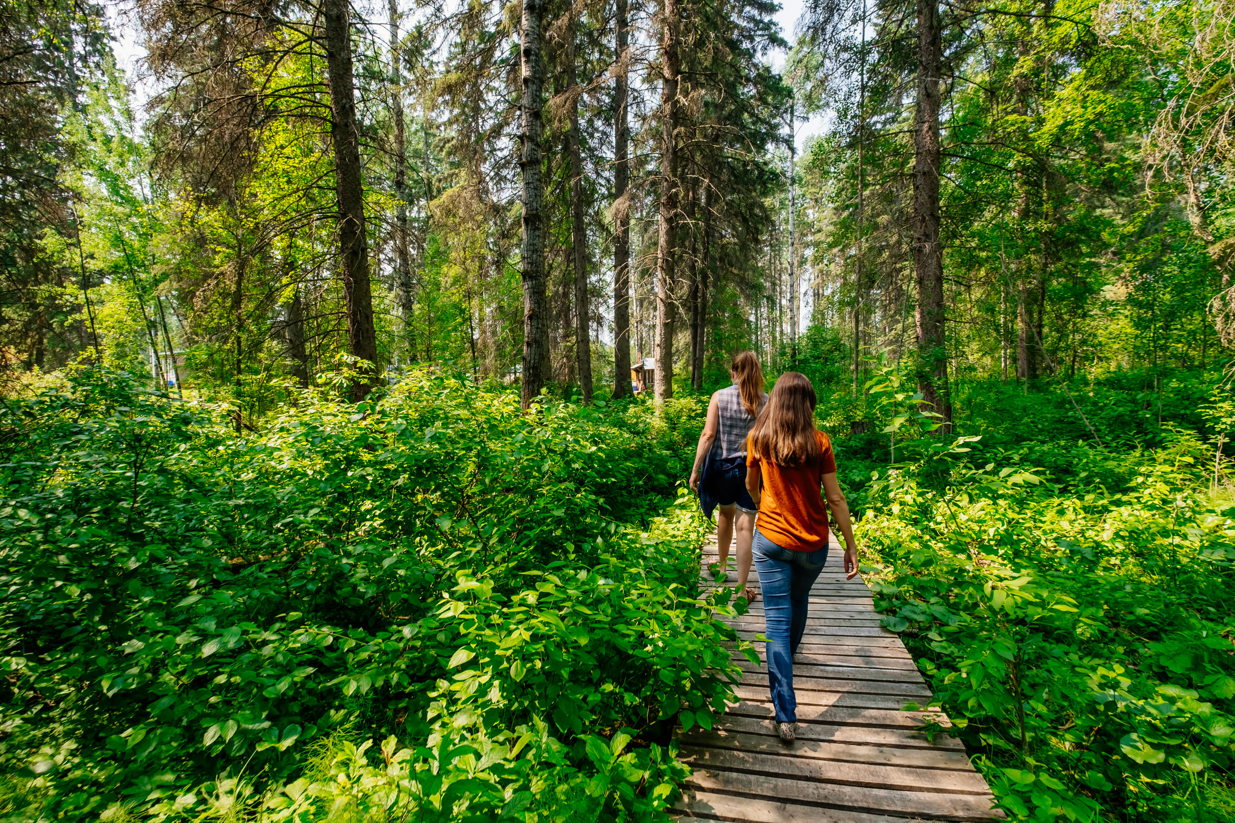 Boardwalk through nature.