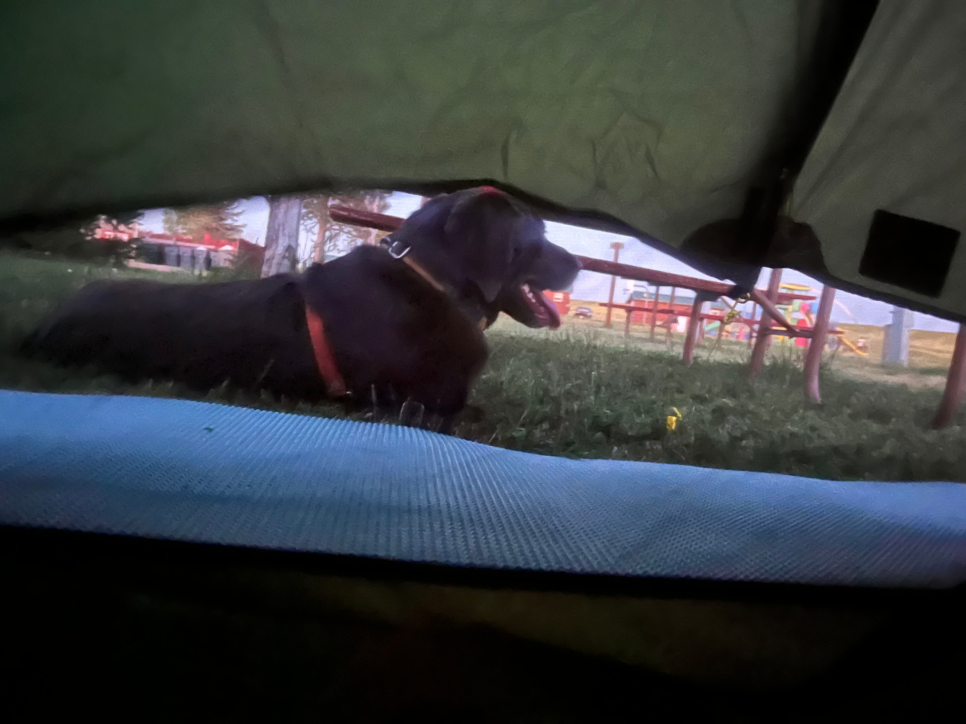 View from my tent