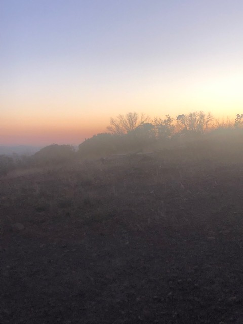 Sunset Colors