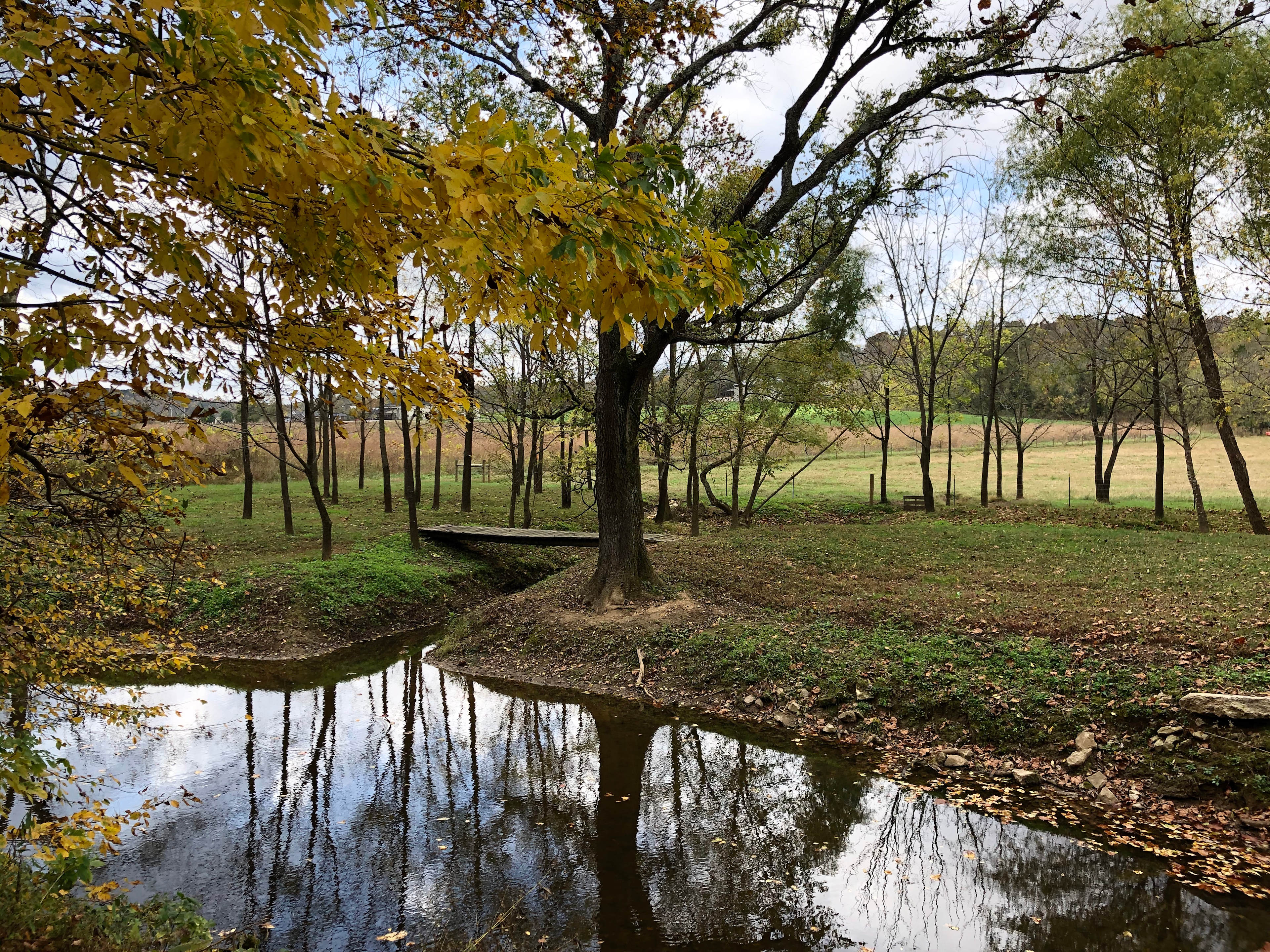Happy Hollows Farm