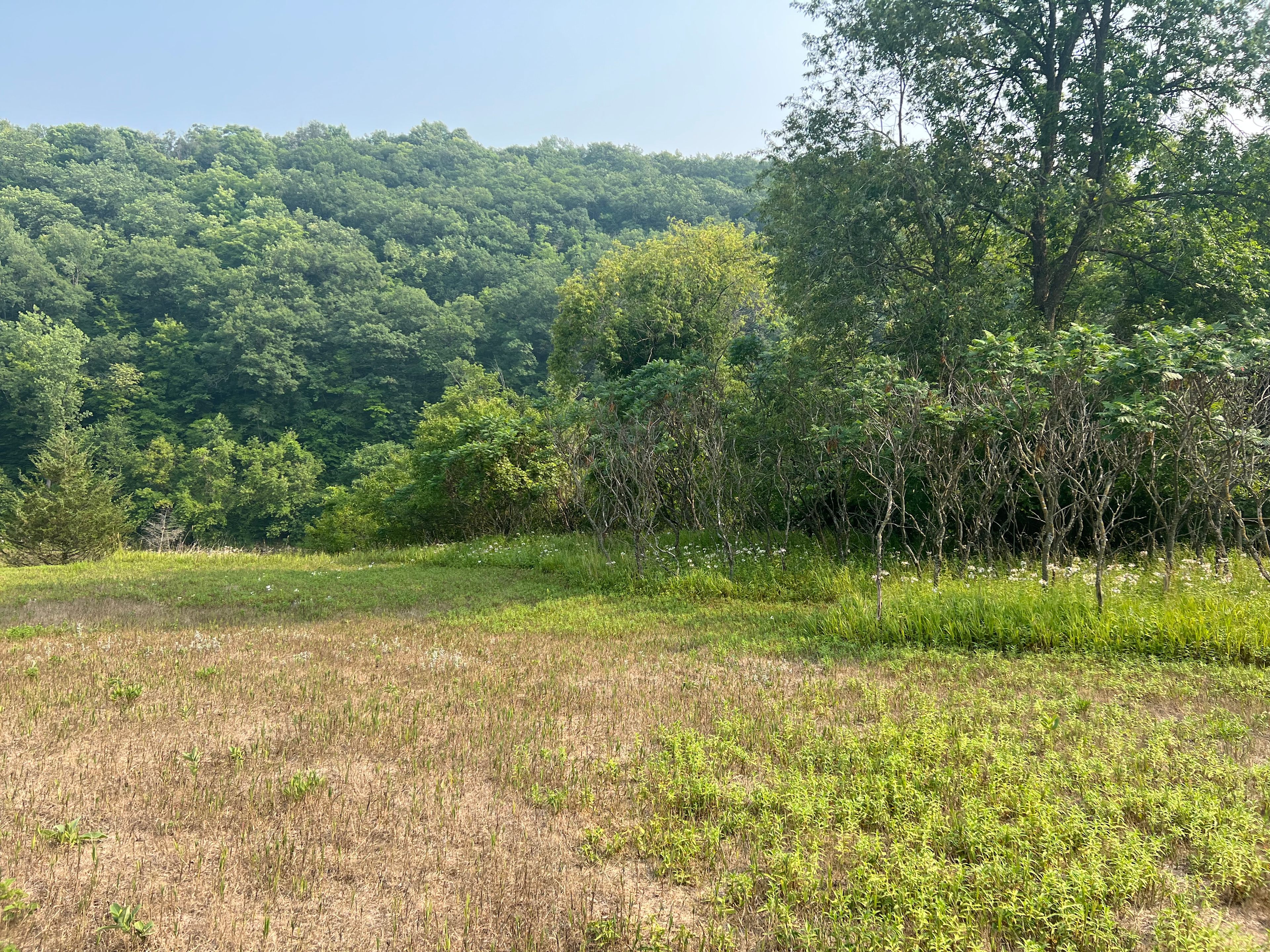 East camp site area 