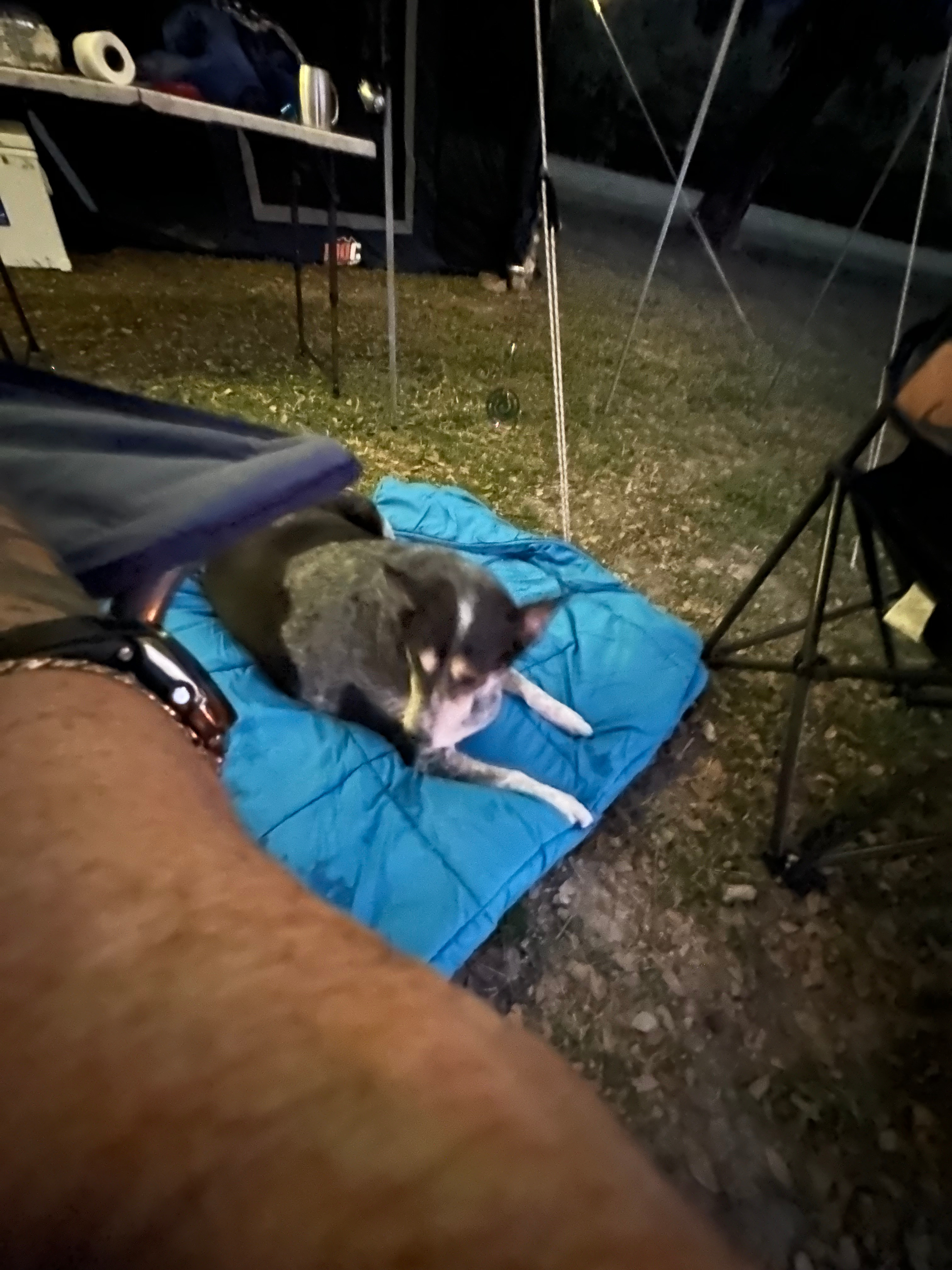 Mount Surround Campground