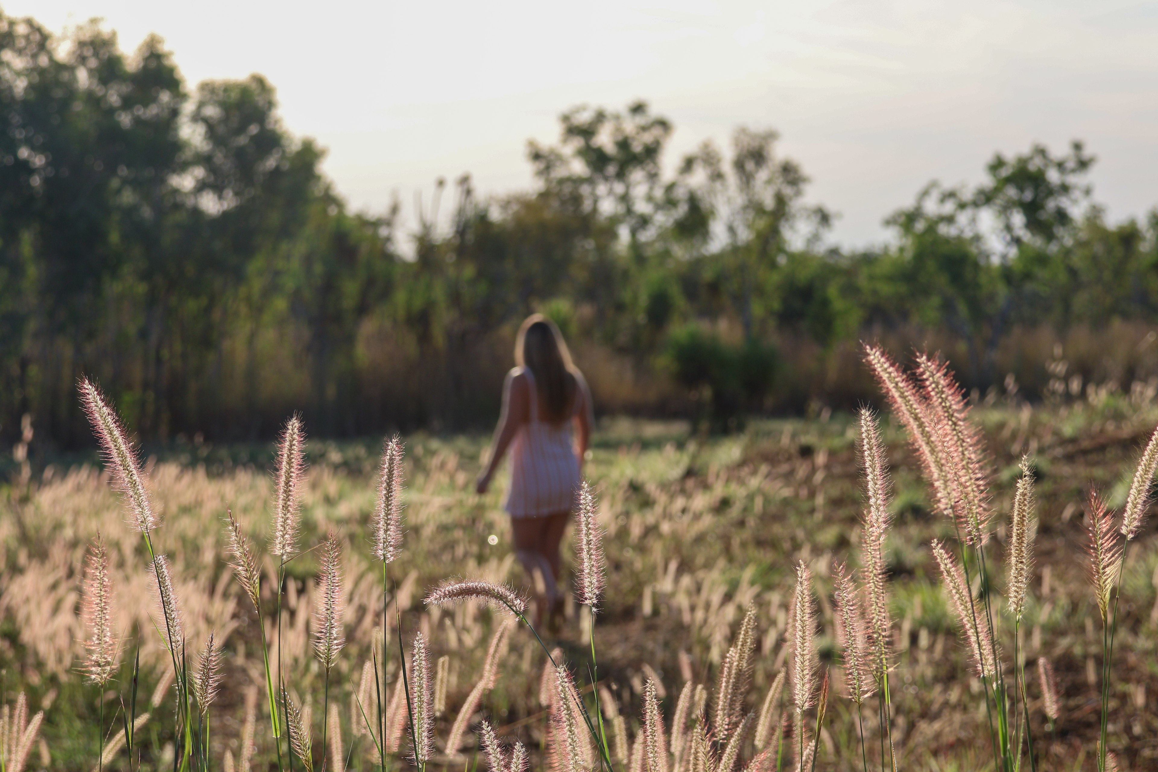 @the.galapagos.life  - fields 